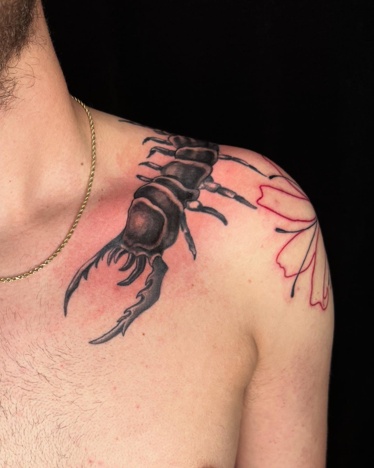 Lobster realism tattoo on the shoulder by Cody Glenn