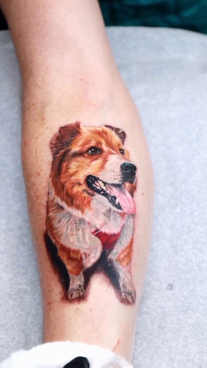 Portrait of a dog realism tattoo on the forearm by Adam_Zhiwei Xu(Tattooist)
