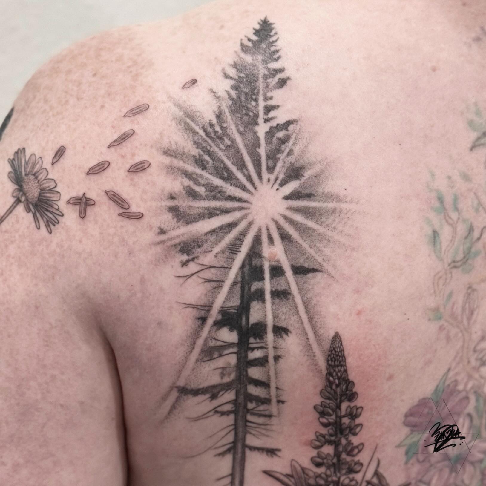 Pine tree and dandelion black and grey tattoo on the shoulder by Zhorana Devi