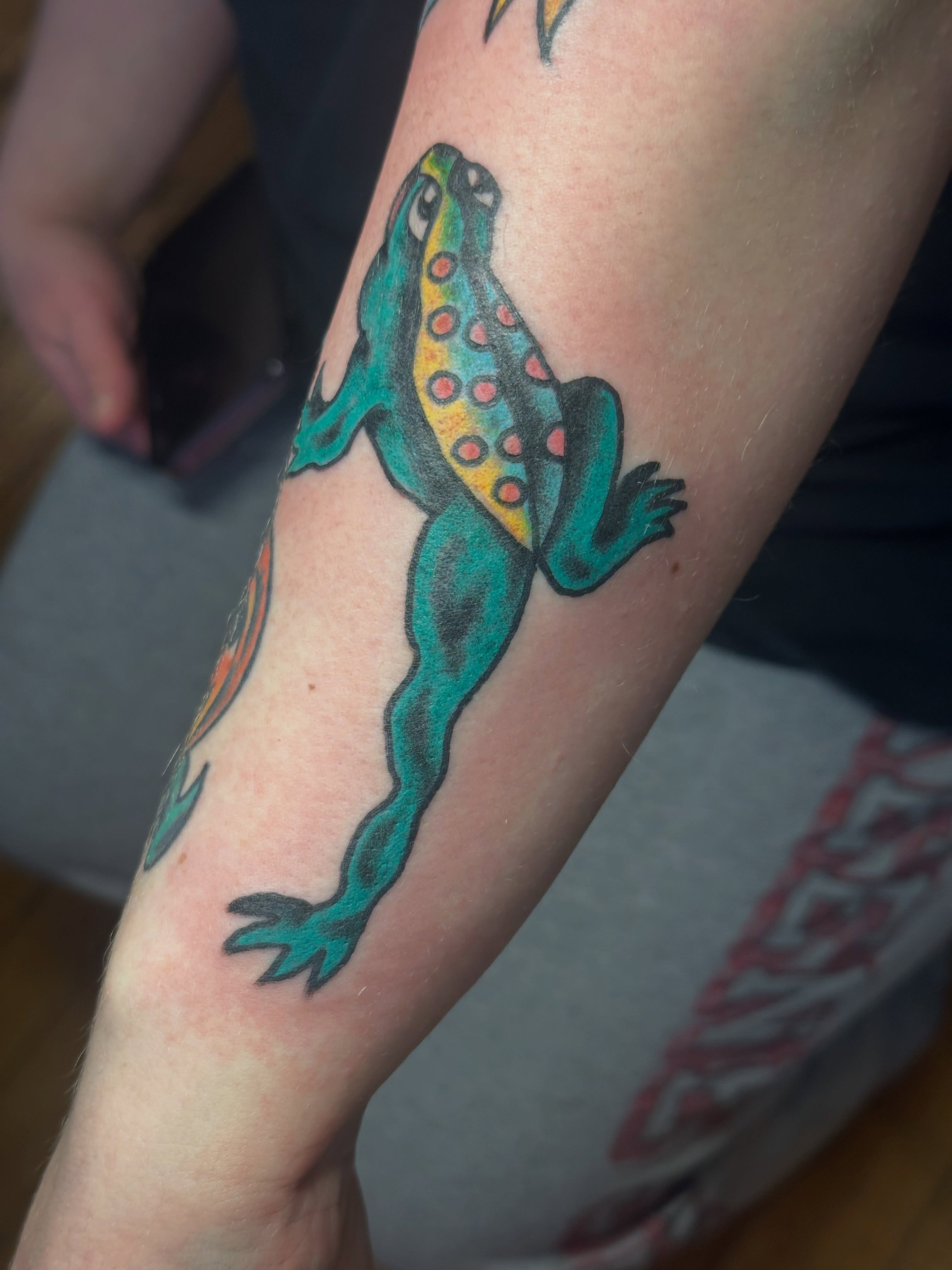 Frog dotwork tattoo on the forearm by Providence Tattooer