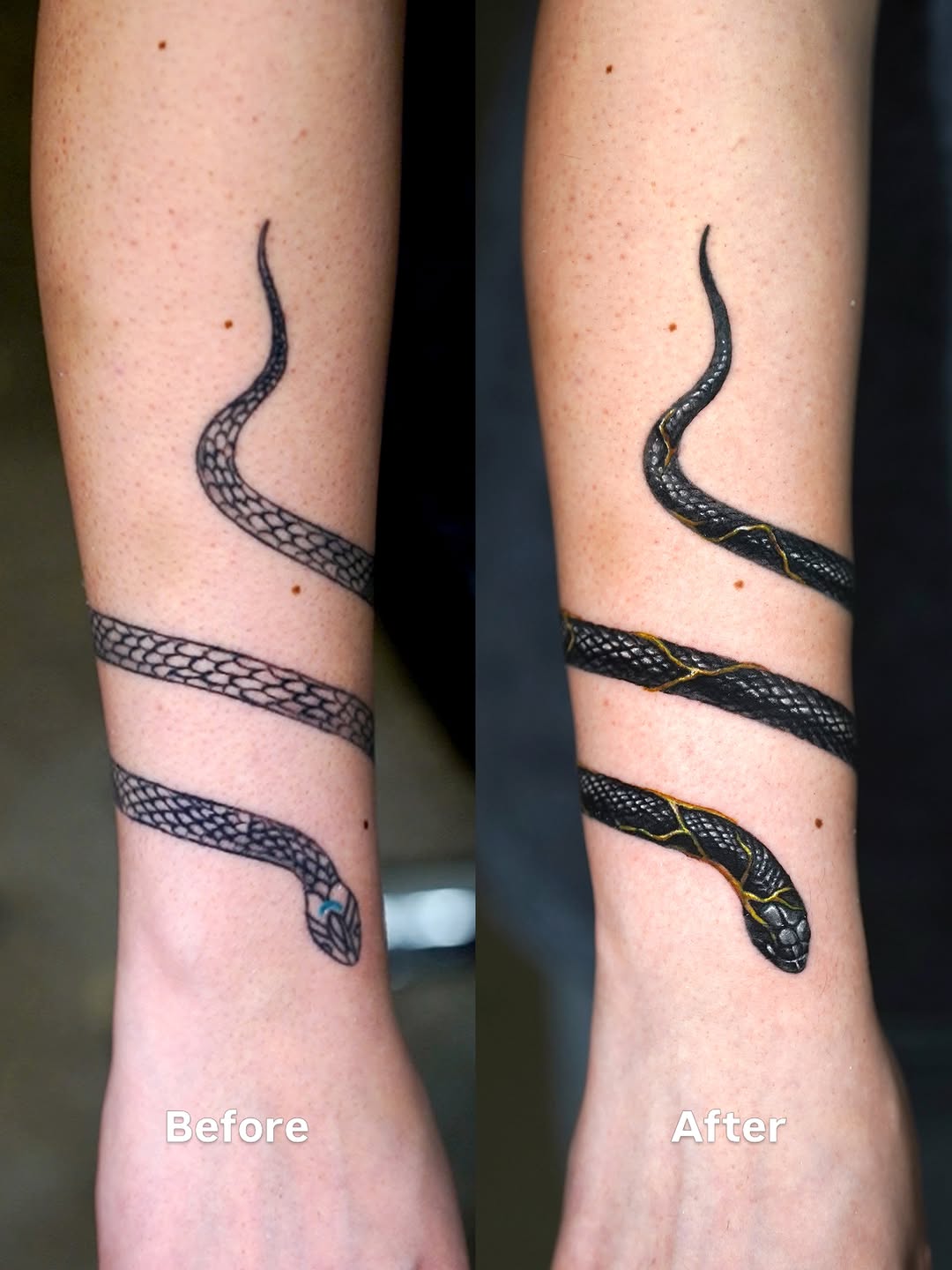 Snake American traditional tattoo on the forearm by Eun, Toronto, Ontario