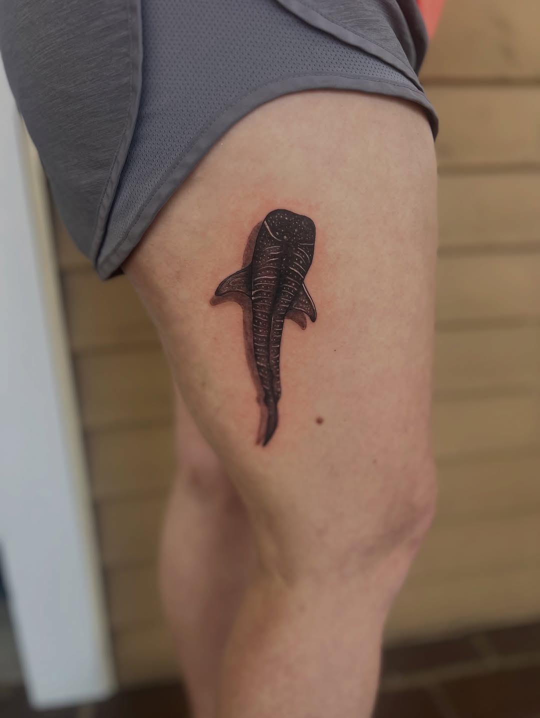 Whale shark fine line tattoo on the thigh by Jai Woods