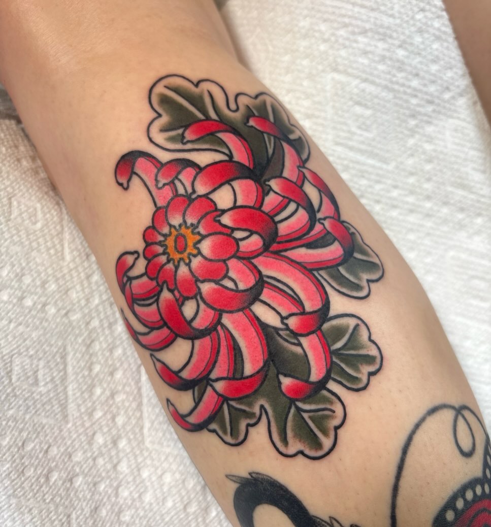 Chrysanthemum American traditional tattoo on the forearm by Caeli Martin
