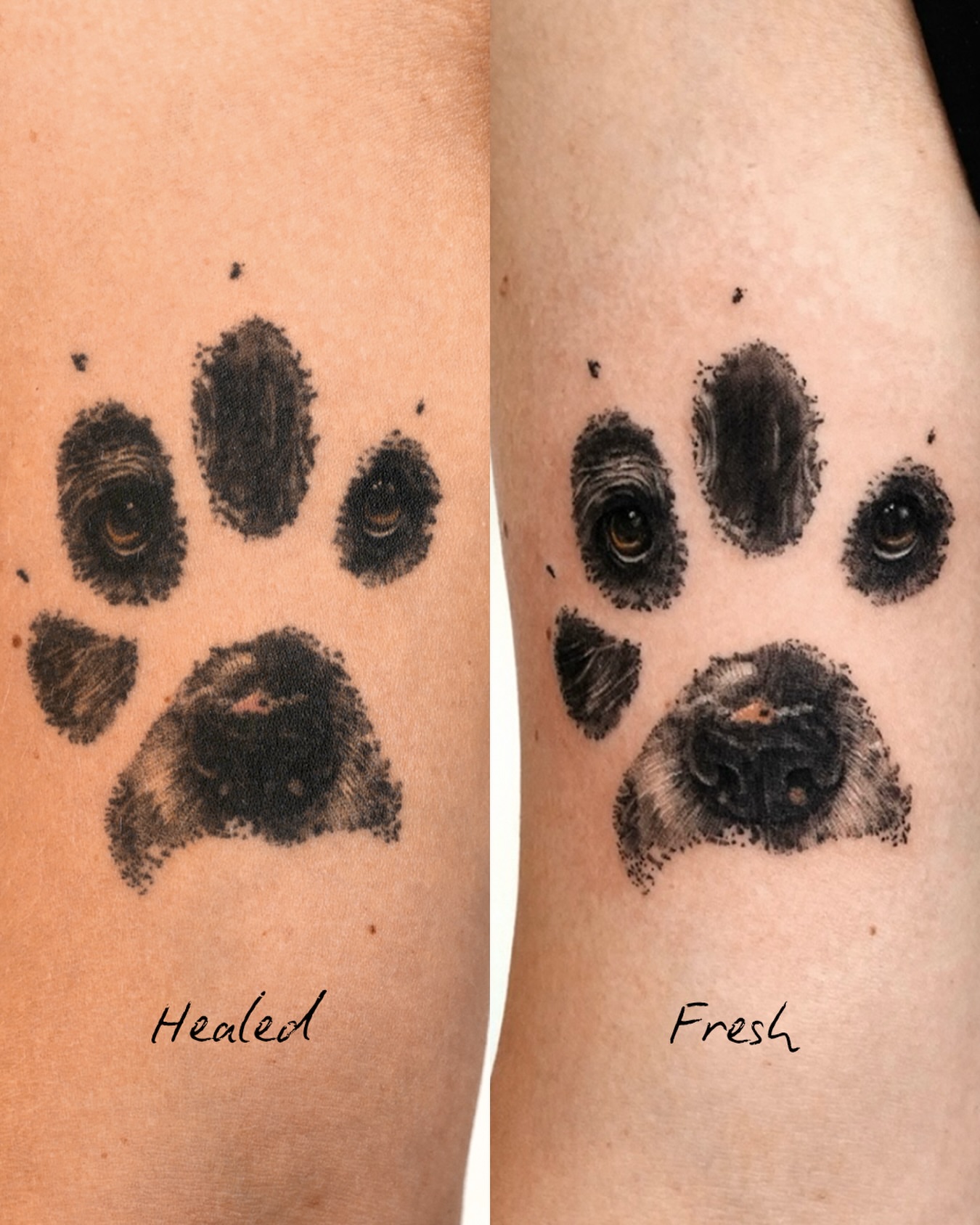 Dog paw print realism tattoo on the forearm by Ria Kim 김리아