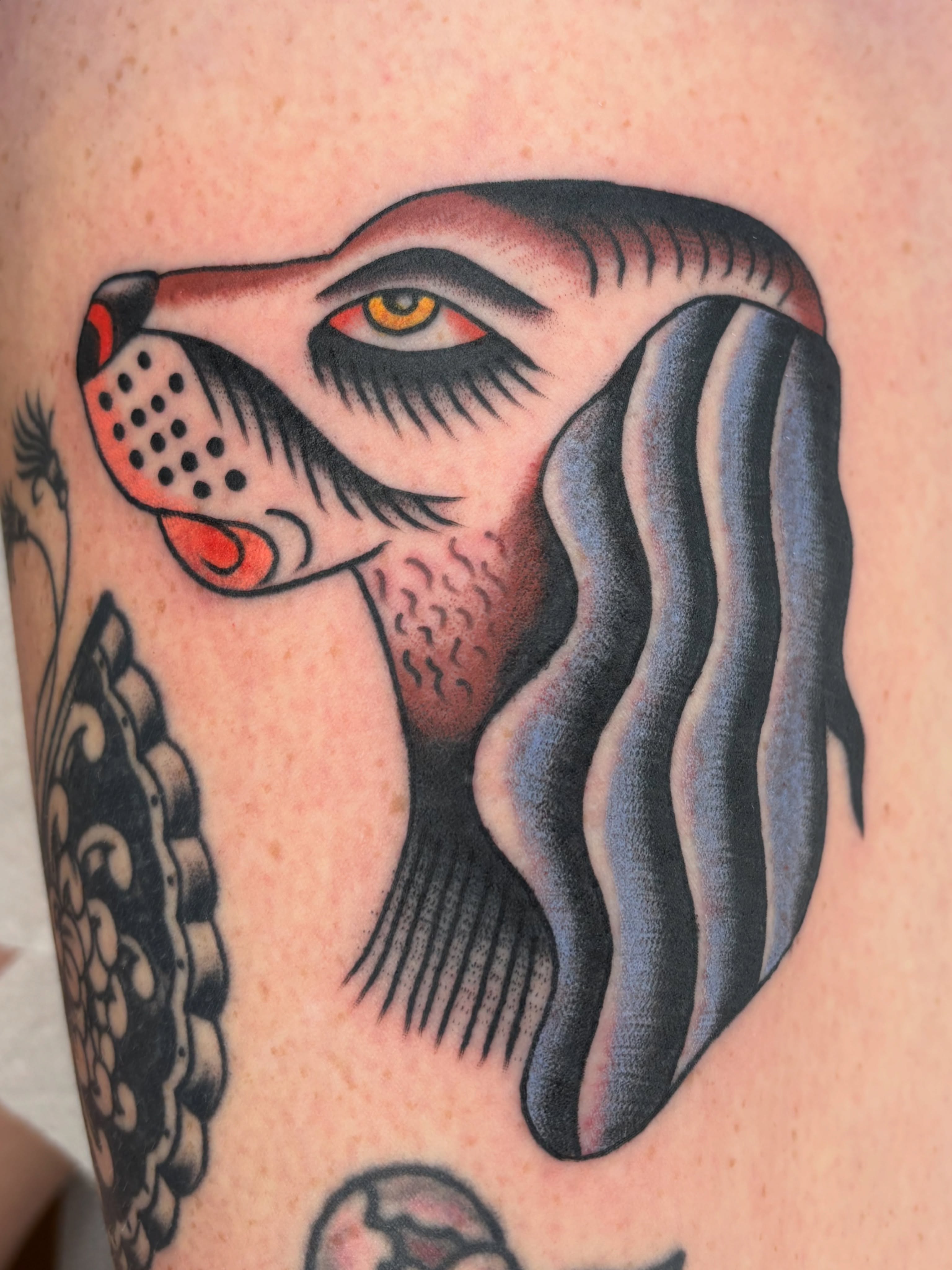 Dog American traditional tattoo on the forearm by Charlie Dunkel Tattoo