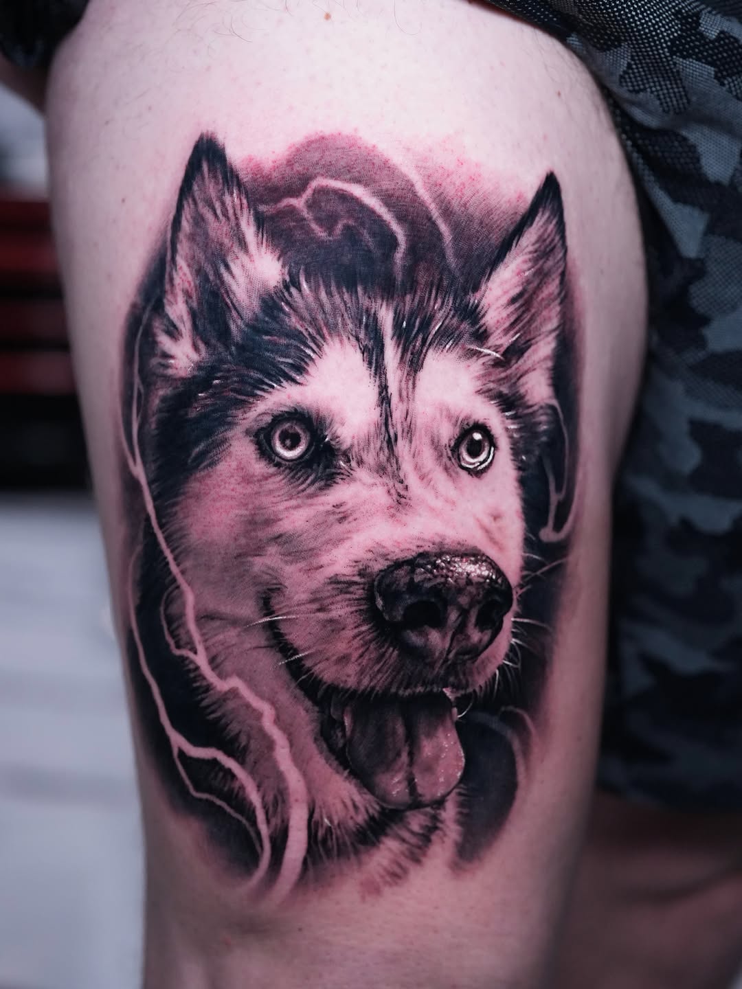 Husky dog portrait realism tattoo on the thigh by Nico Perez