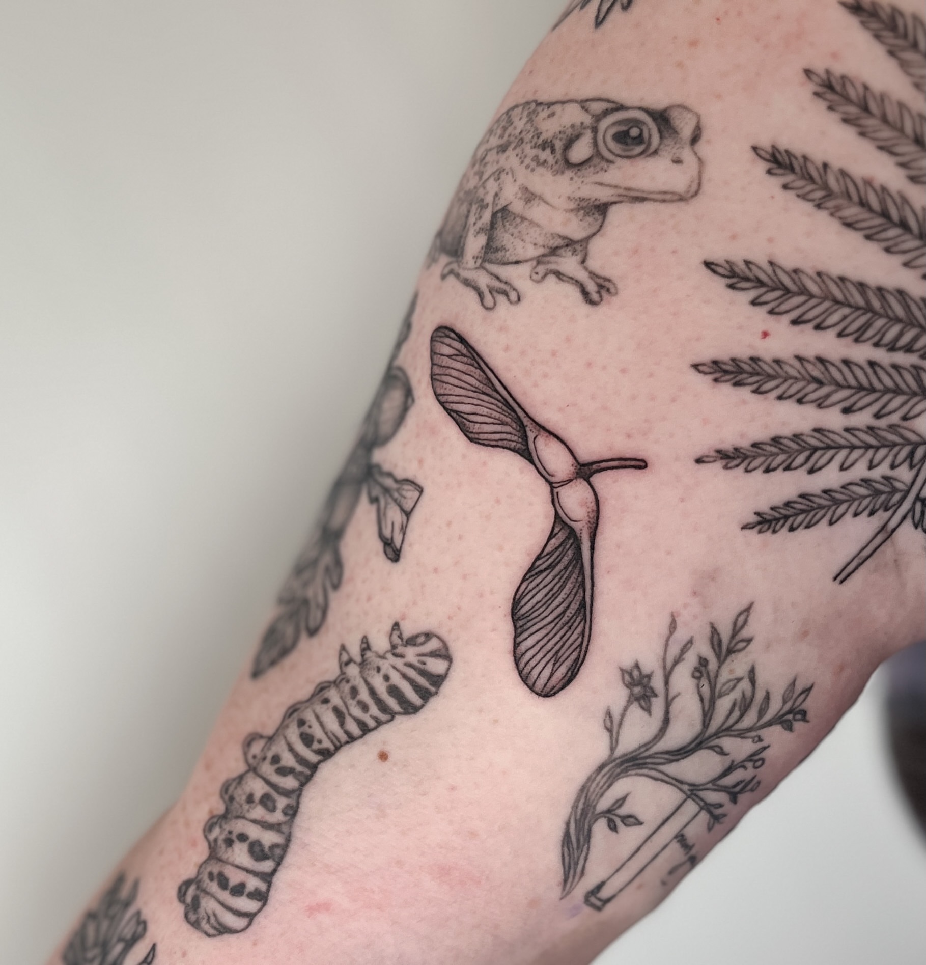 Tattoo by @seed.eternal — dotwork, realism