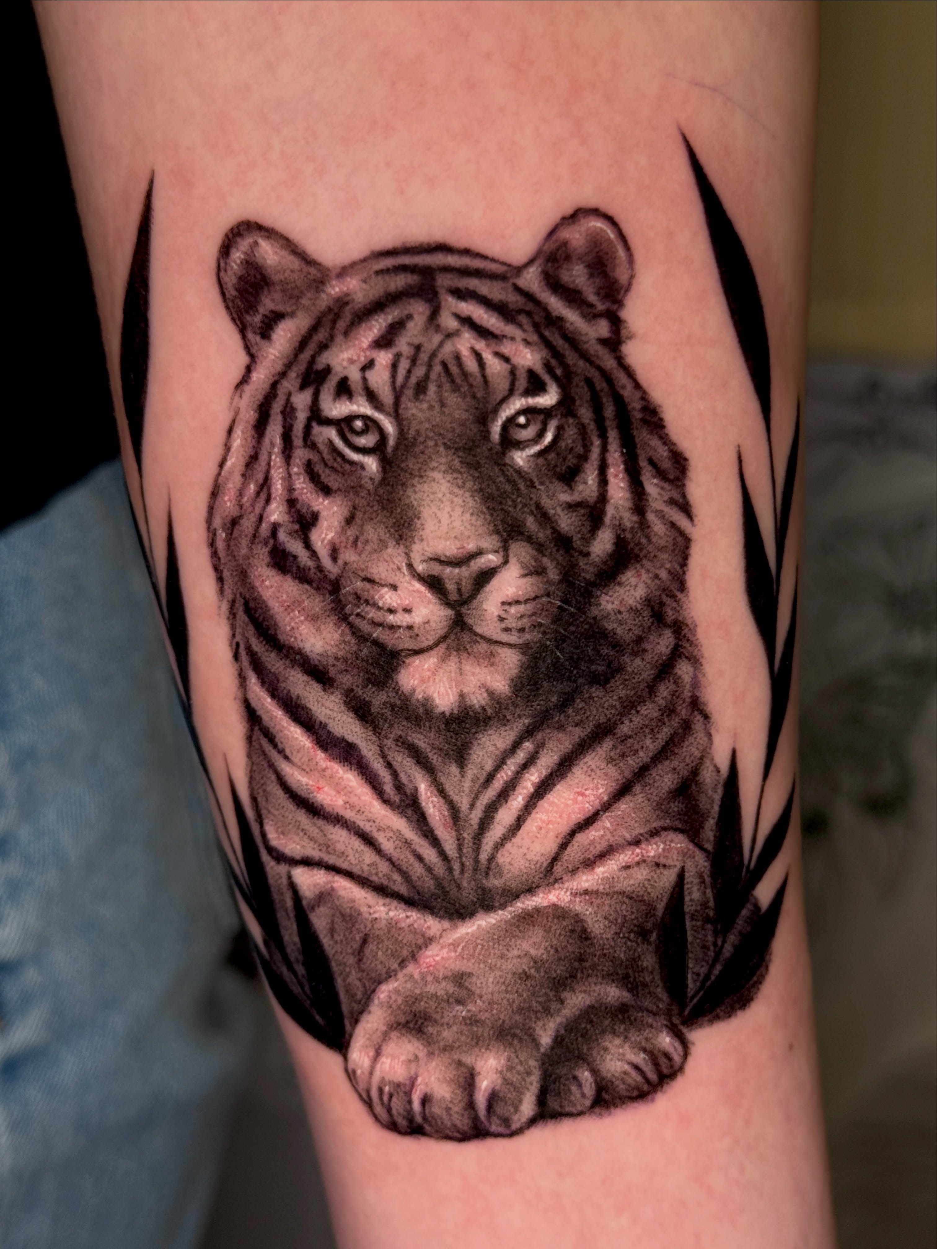 Tiger realism tattoo on the forearm by ❈°binx°❈