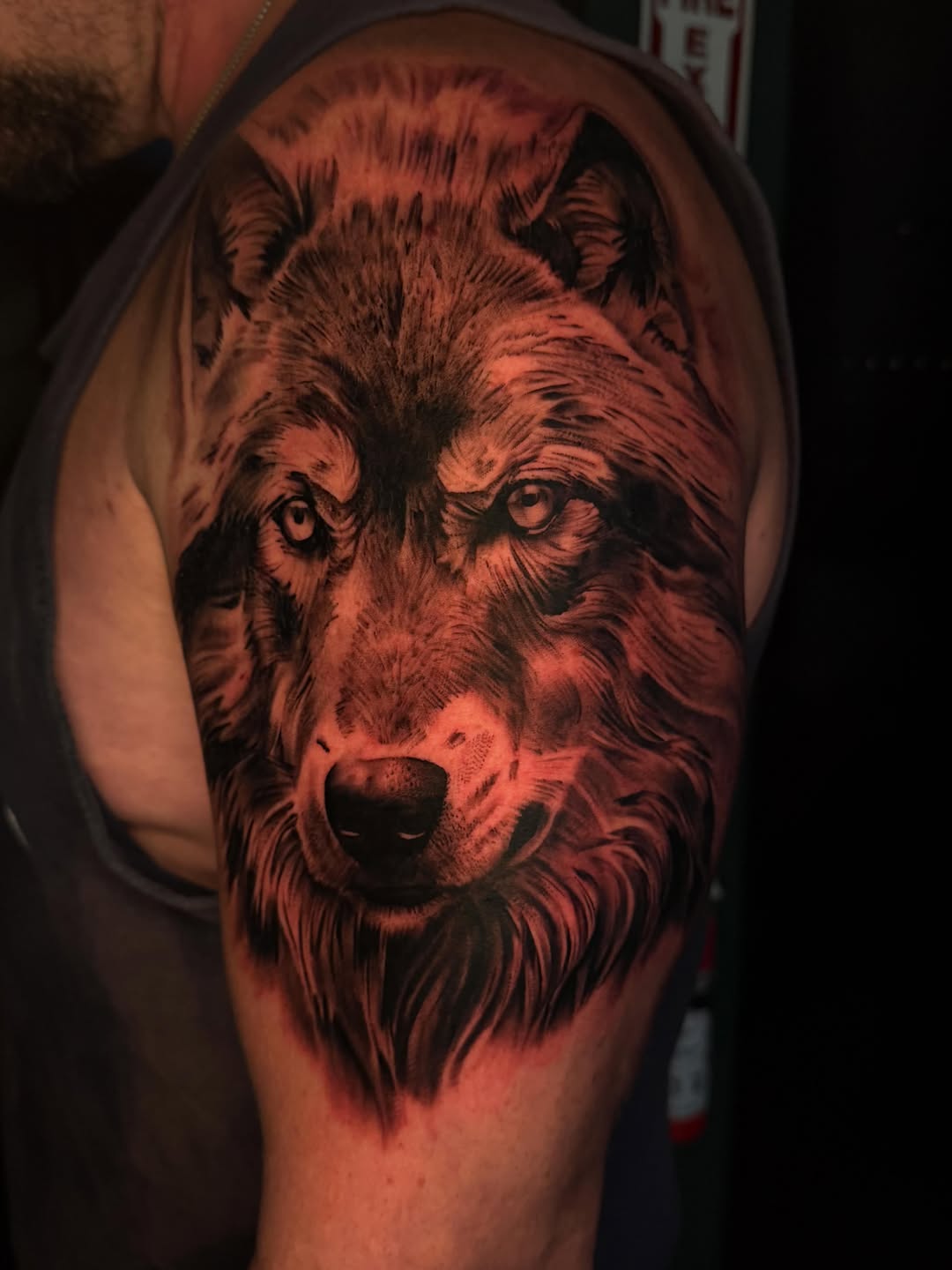 Wolf portrait realism tattoo on the upper arm by T, Saugus, Massachusetts