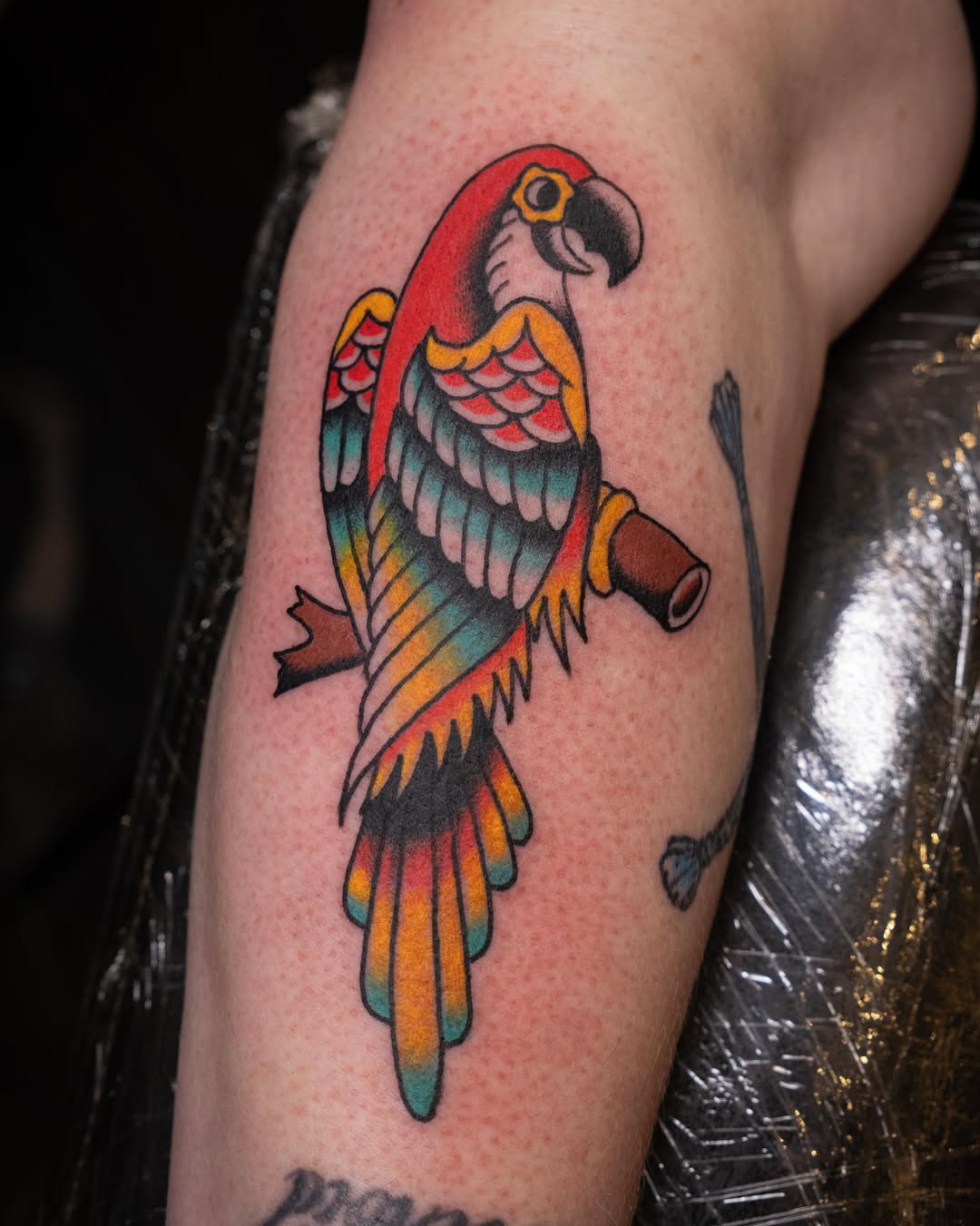 Parrot American traditional tattoo on the forearm by Justin Rakowski