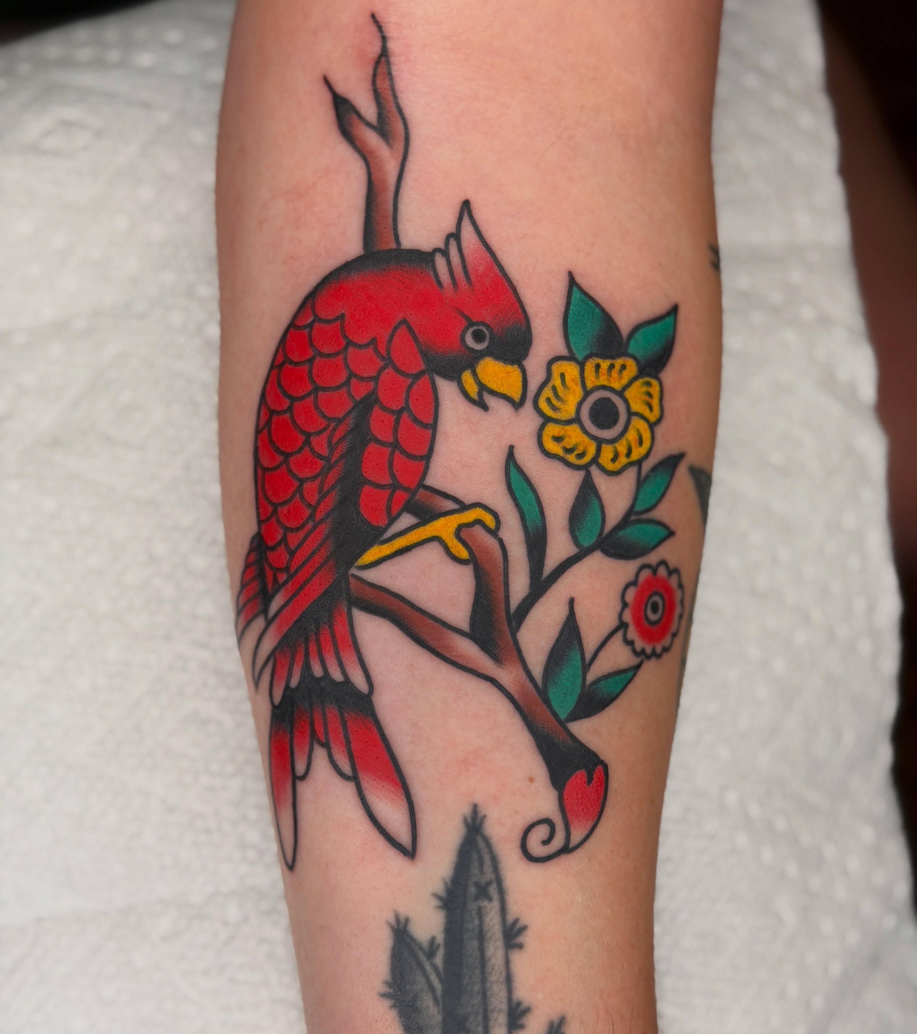 Parrot and flowers American traditional tattoo on the forearm by Diego Treviño