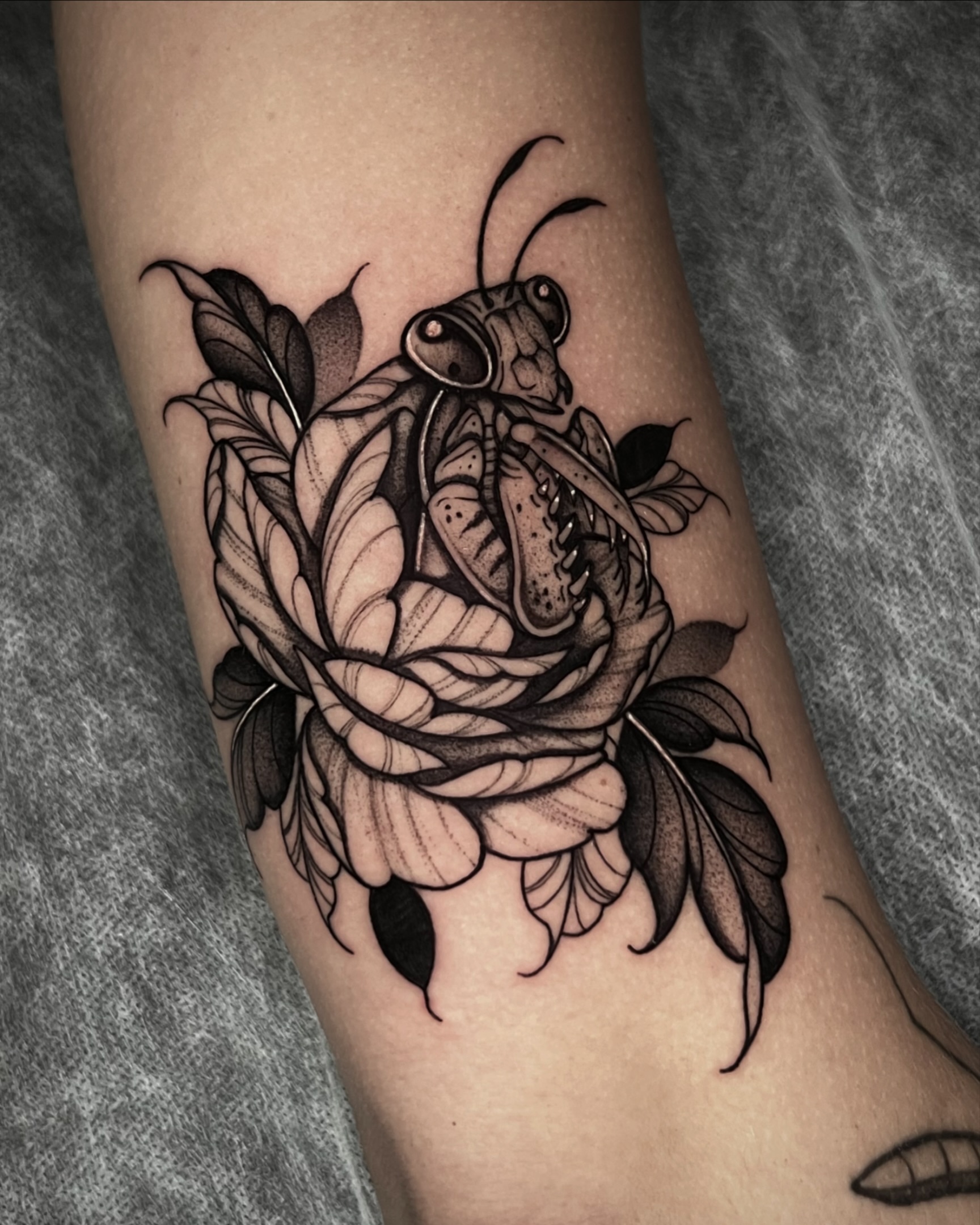 Tattoo by @caitybugink โ black_and_grey, realism