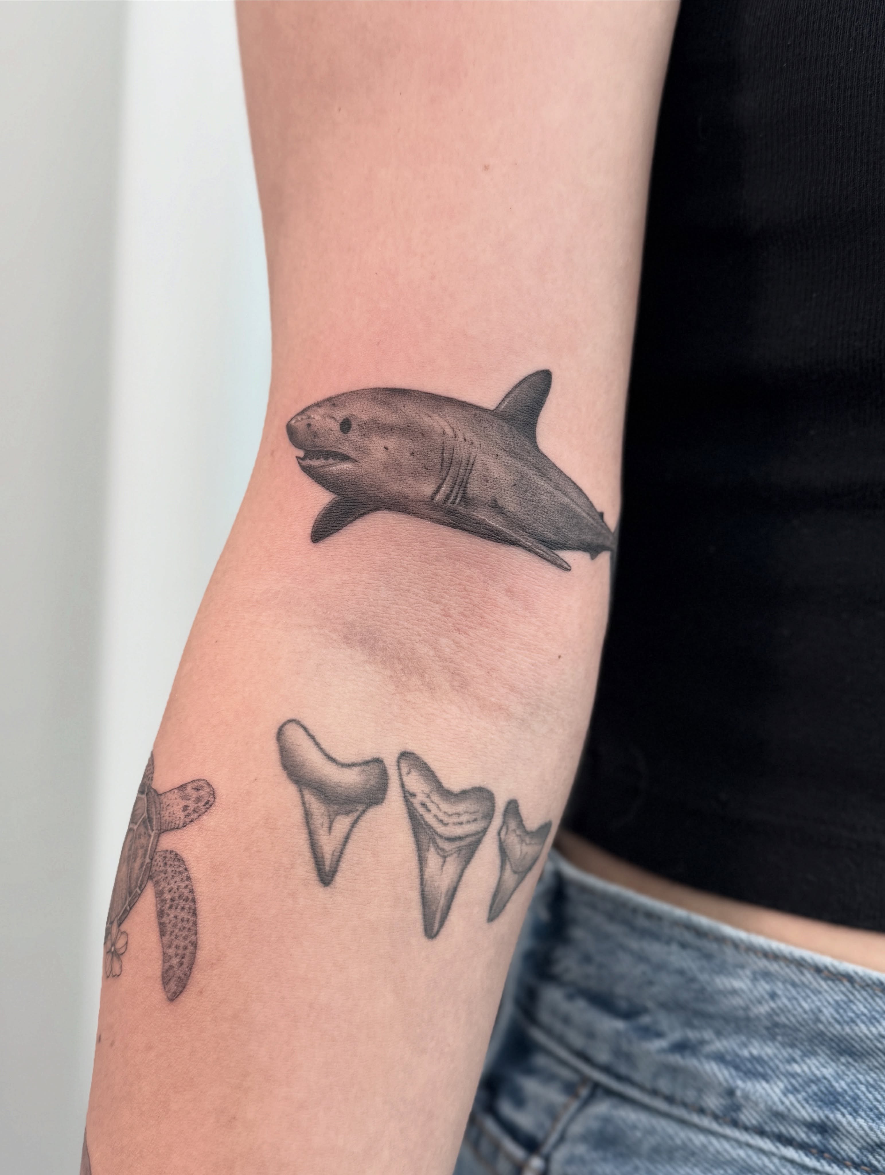 Shark and teeth realism tattoo on the forearm by Jasmine, Lynnwood, Washington