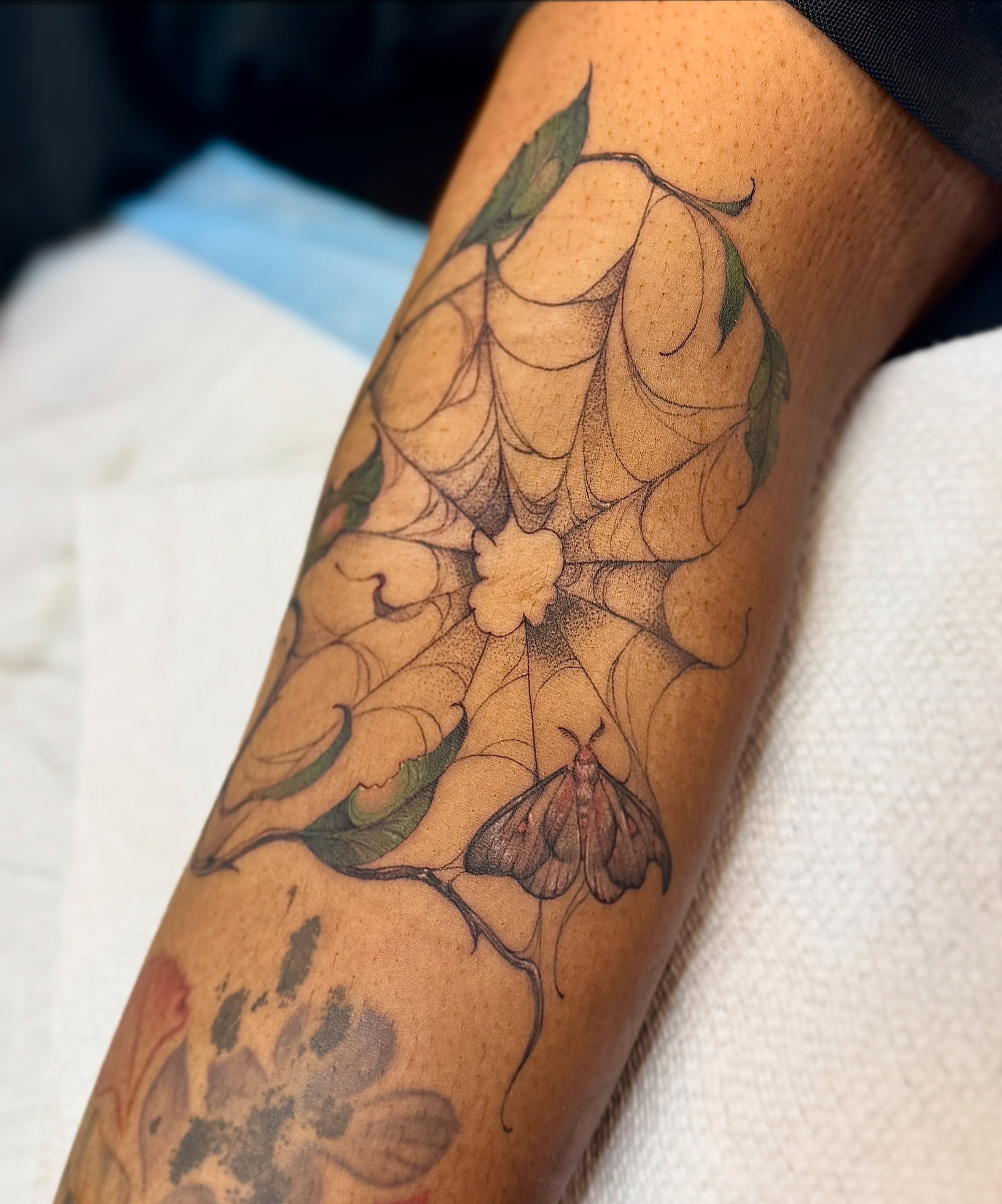 Flower and moth dotwork tattoo on the forearm by Andy Rowe- Tattoo Artist🦇