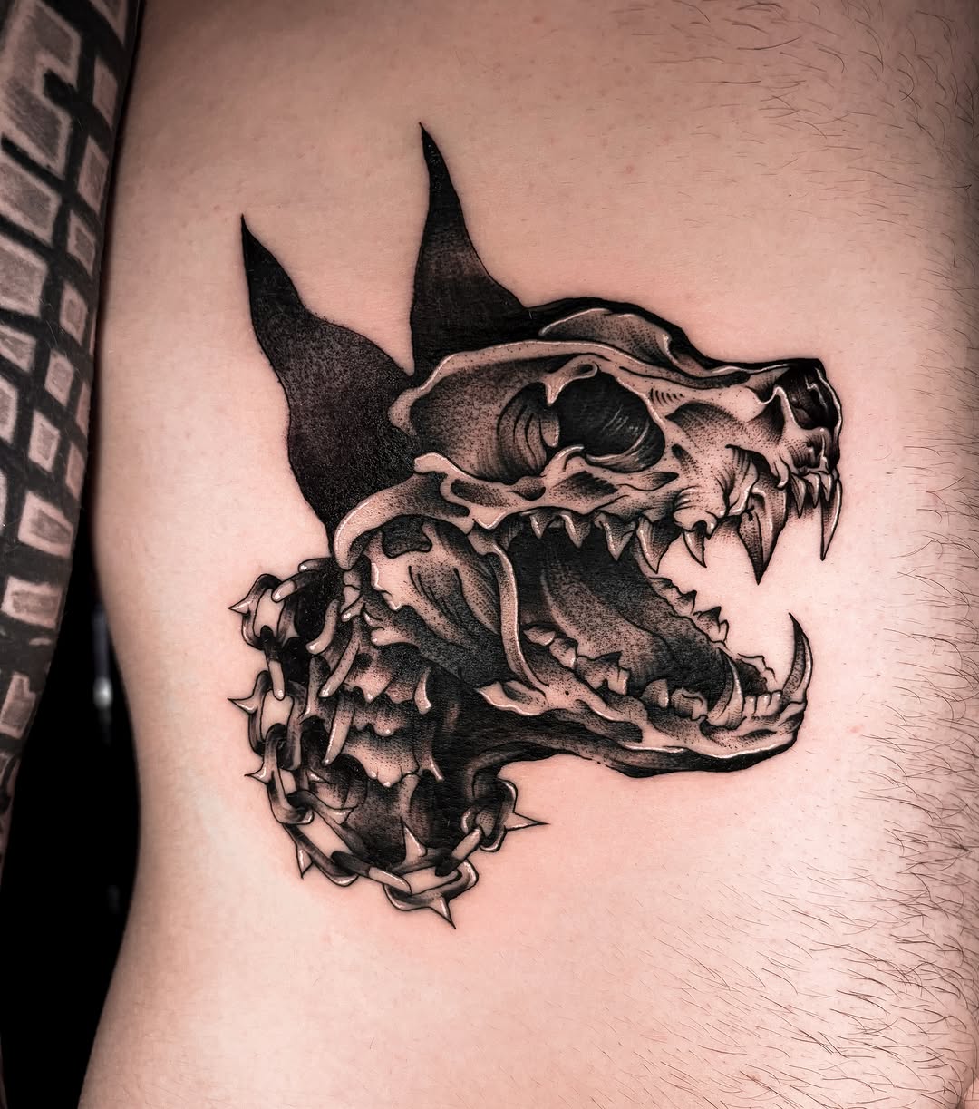 Dog skull with chain realism tattoo on the ribs by ✿ Desiree Gawle ✿