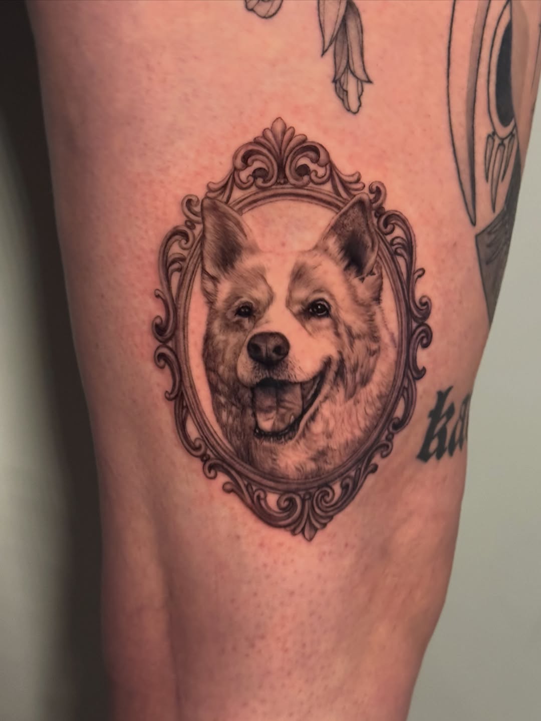 Dog portrait in ornate frame realism tattoo on the forearm by Mia