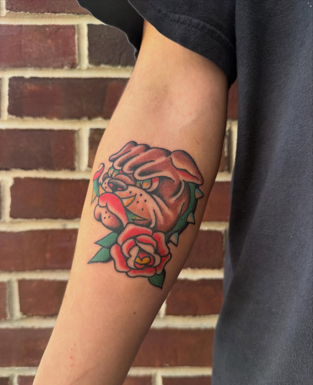 Bulldog and roses American traditional tattoo on the forearm by ★ eliza rodriguez🇲🇽 ★