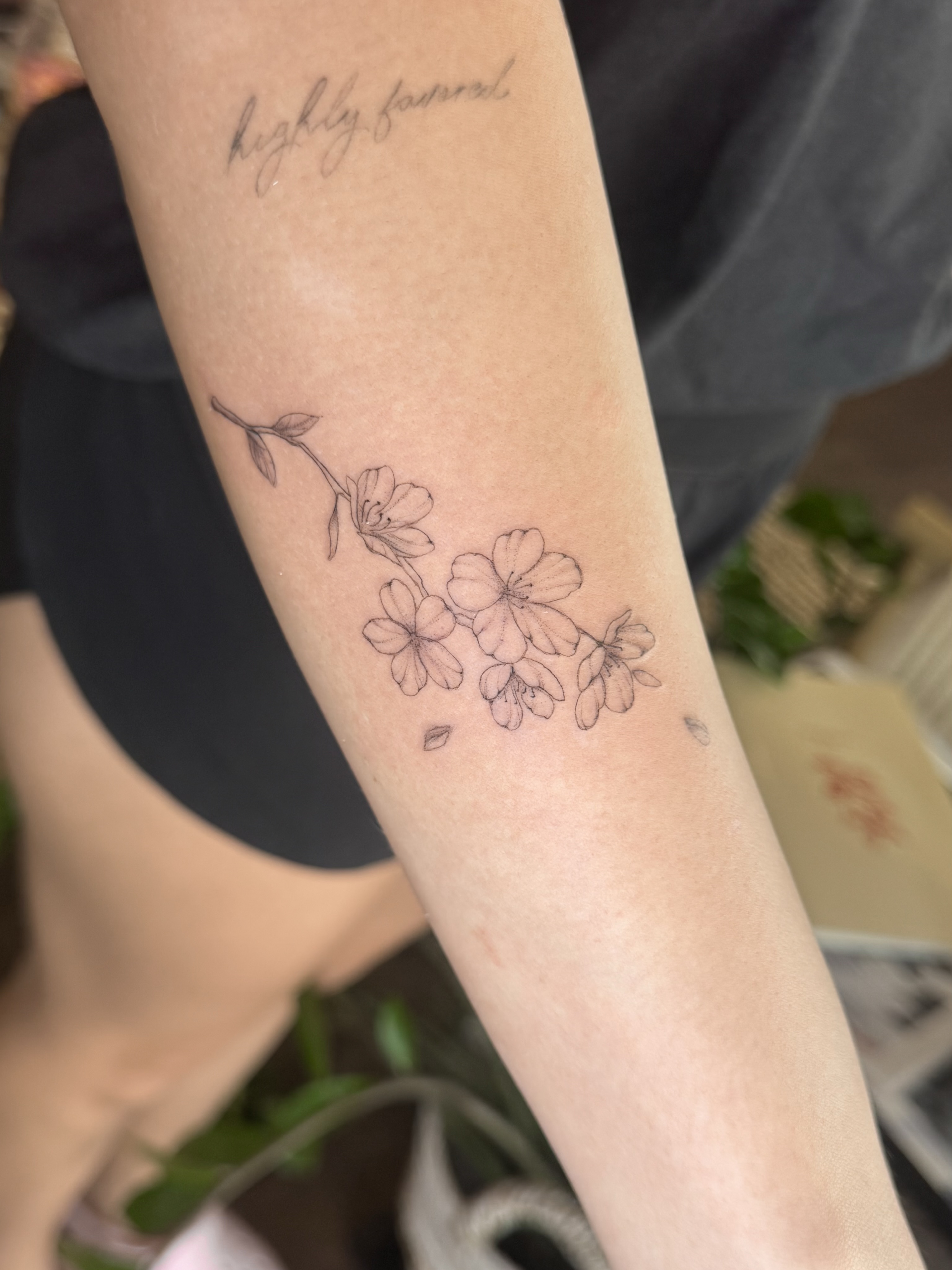 Cherry blossoms fine line tattoo on the forearm by fine line tattoo artist▪️Austin TX