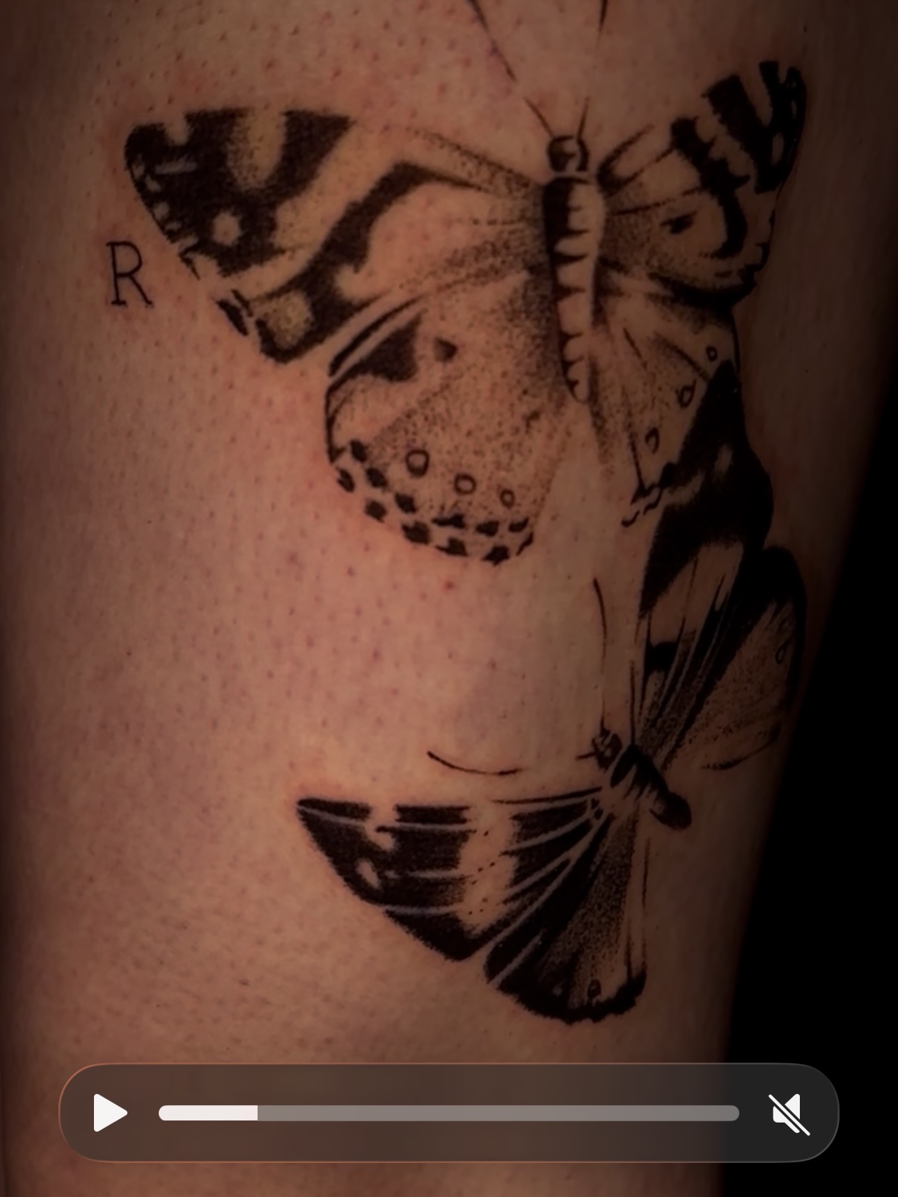Tattoo by @persialeilani — dotwork, black_and_grey