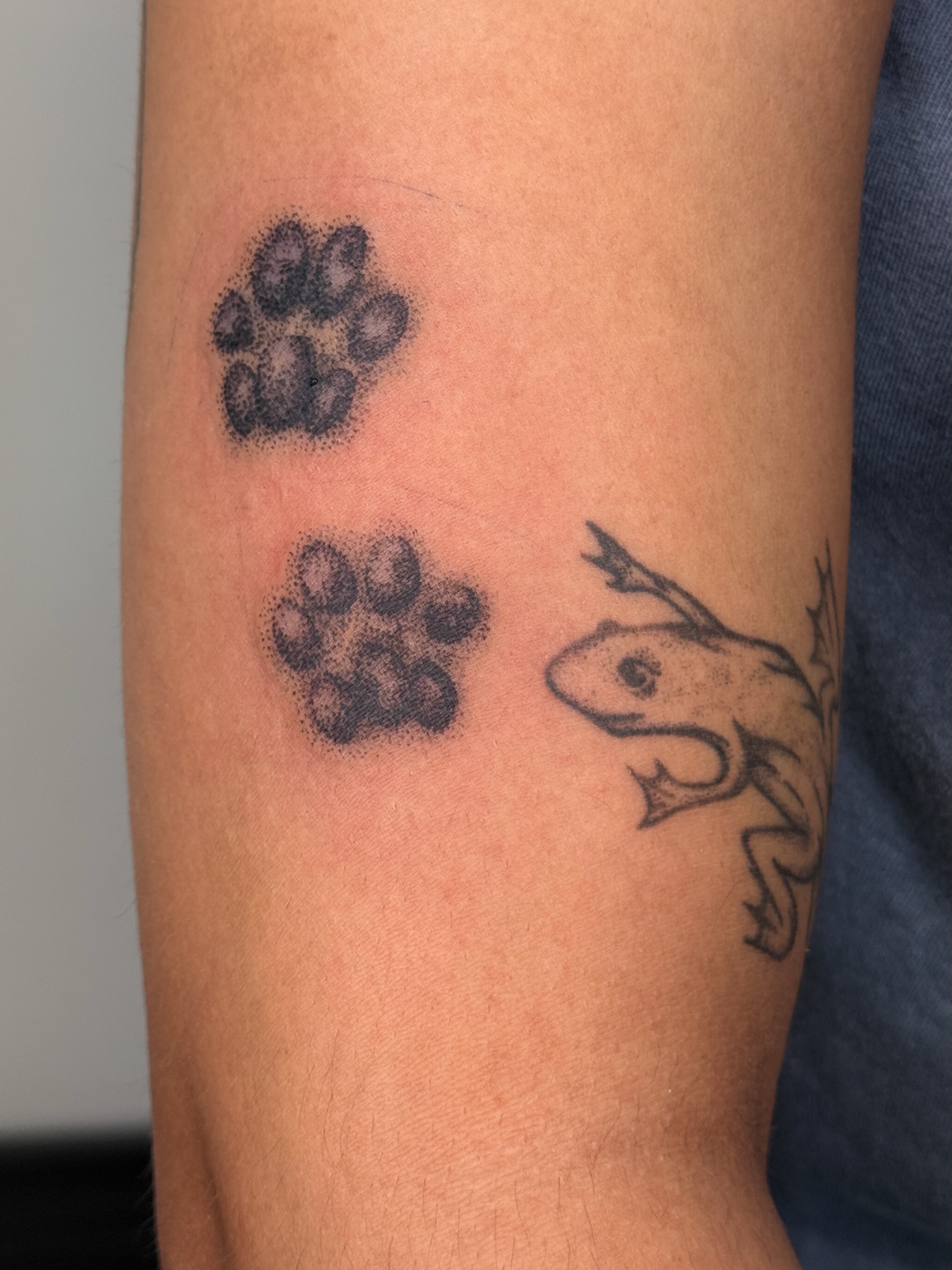 Paw prints and frog dotwork tattoo on the forearm by Bella - Austin Tattoo Artist ₓ˚. ୭
