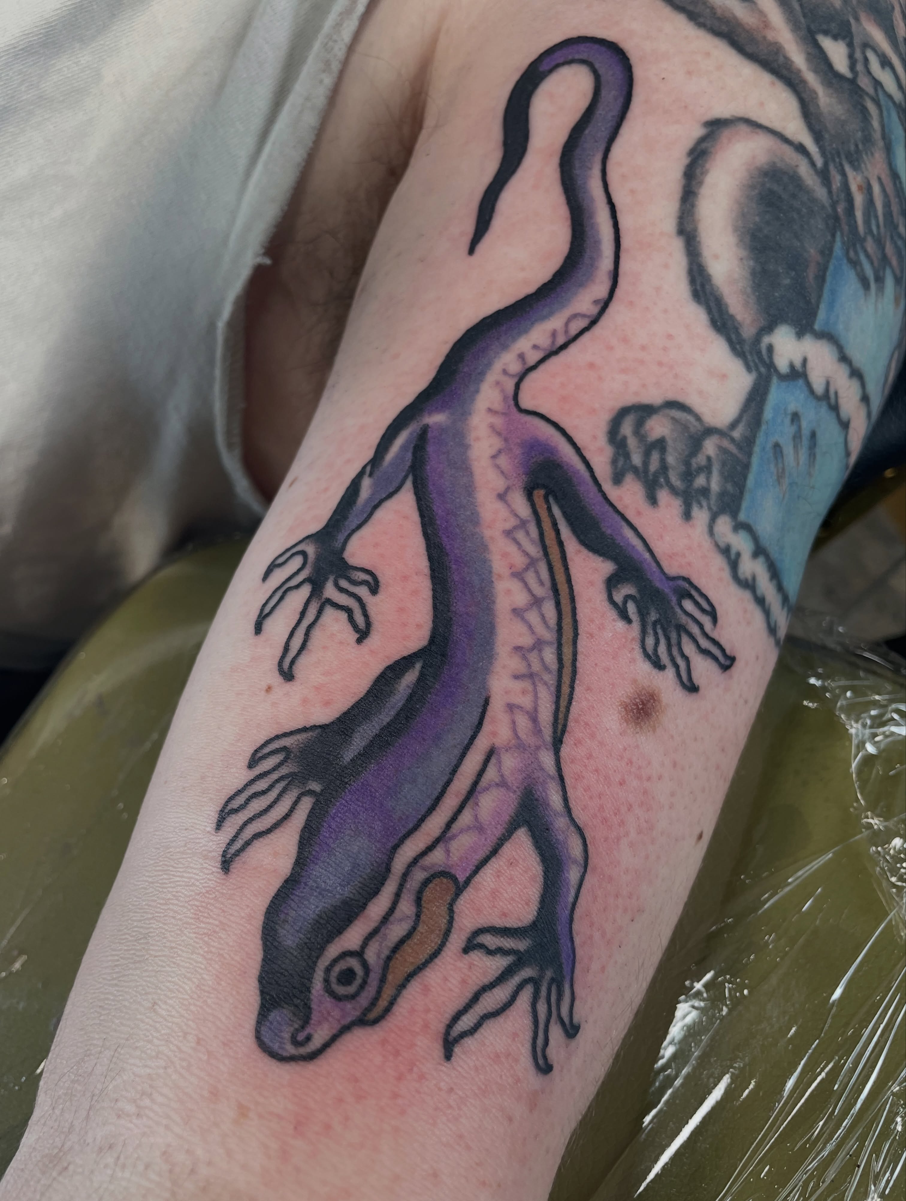 Gecko new school tattoo on the forearm by @pizzabref
