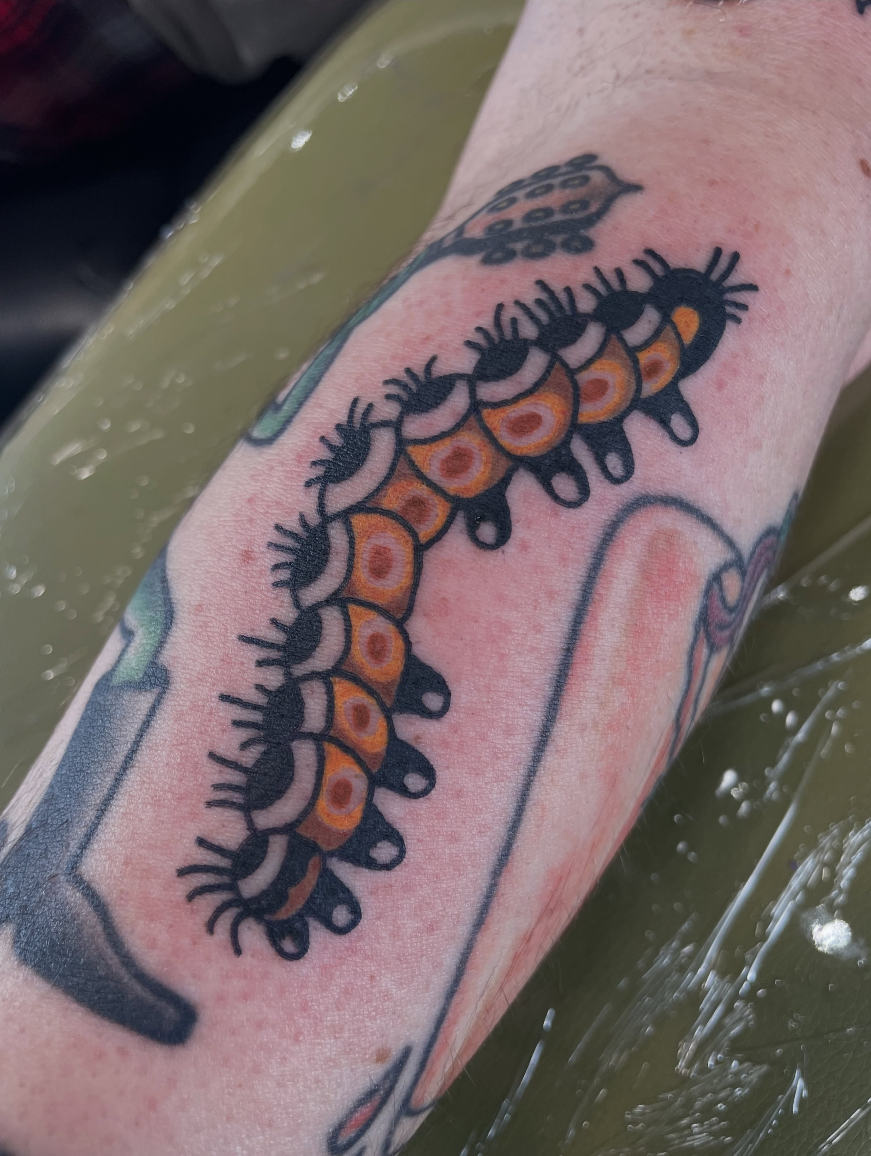 Caterpillar American traditional tattoo on the forearm by @pizzabref