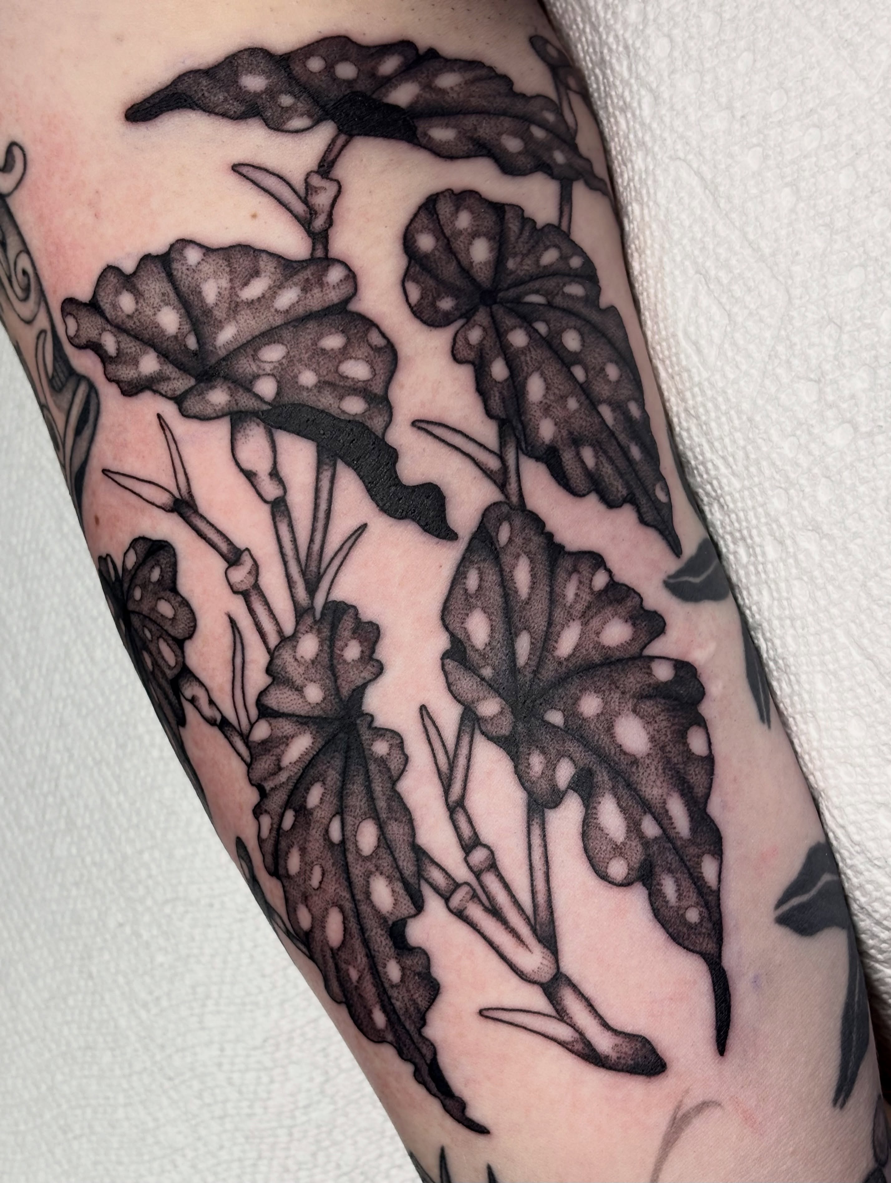 Botanical leaves black and grey tattoo on the forearm by ✨madison✨, Portland, Oregon