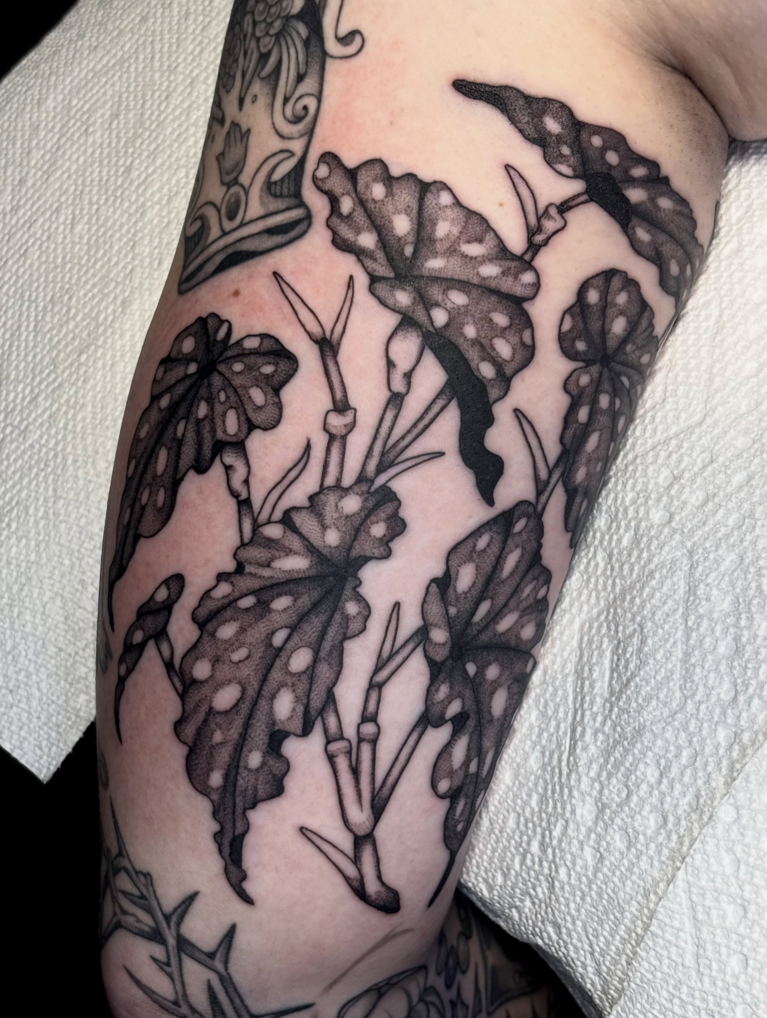 Botanical leaves dotwork tattoo on the forearm by ✨madison✨, Portland, Oregon