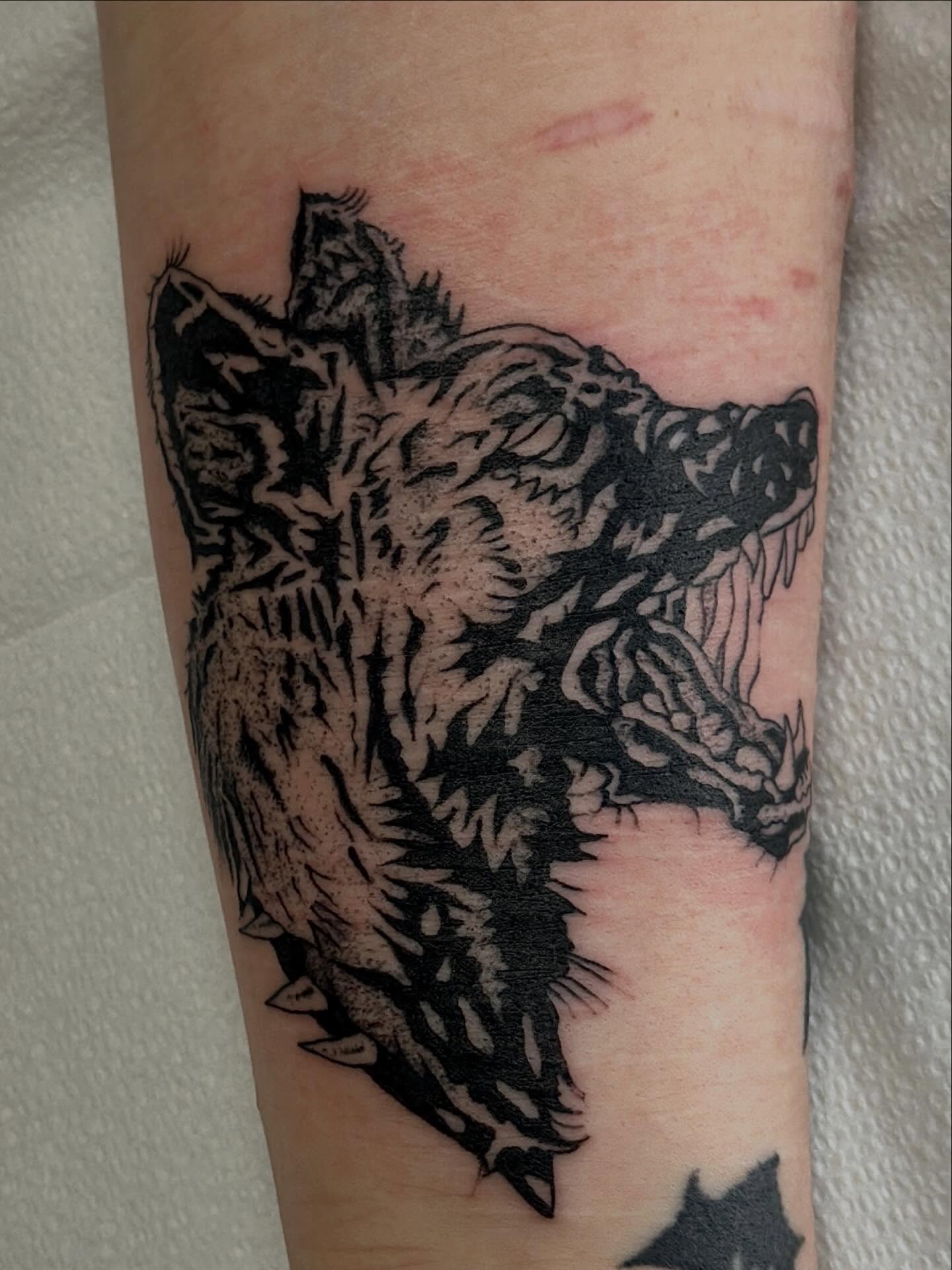 Wolf black and grey tattoo on the forearm by Jared Allen, Saint Petersburg, Florida