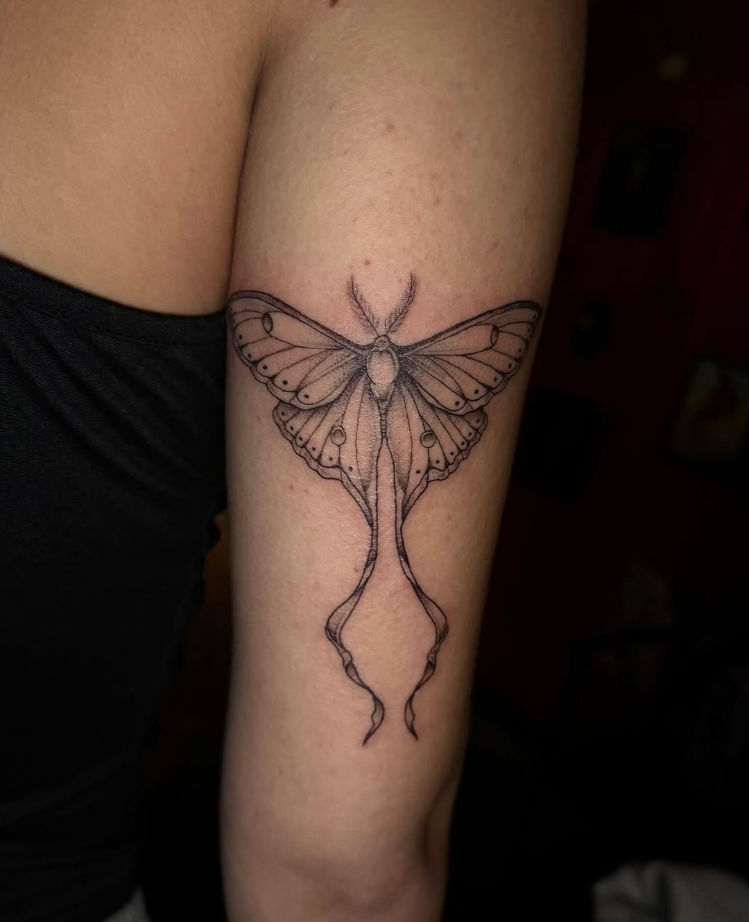 Tattoo by @madisonkaytattoos โ fine_line, black_and_grey