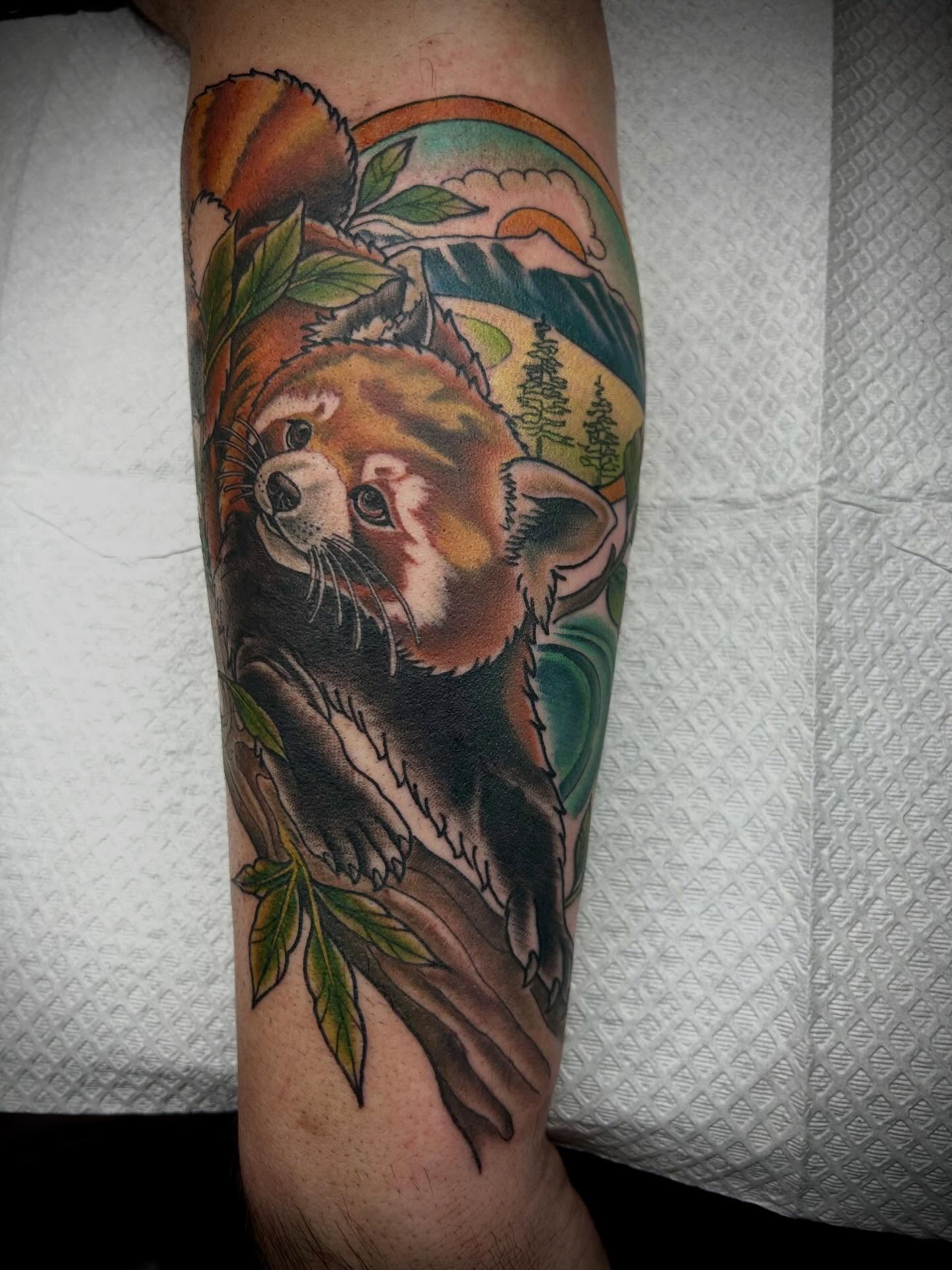 Red panda realism tattoo on the forearm by Pᴇɪɢʜᴛᴏɴ "Fʟᴀsʜ", Phoenix, Arizona