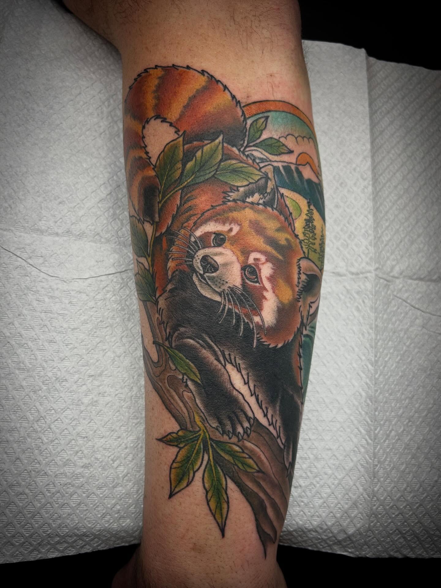 Red panda realism tattoo on the forearm by Pᴇɪɢʜᴛᴏɴ "Fʟᴀsʜ", Phoenix, Arizona