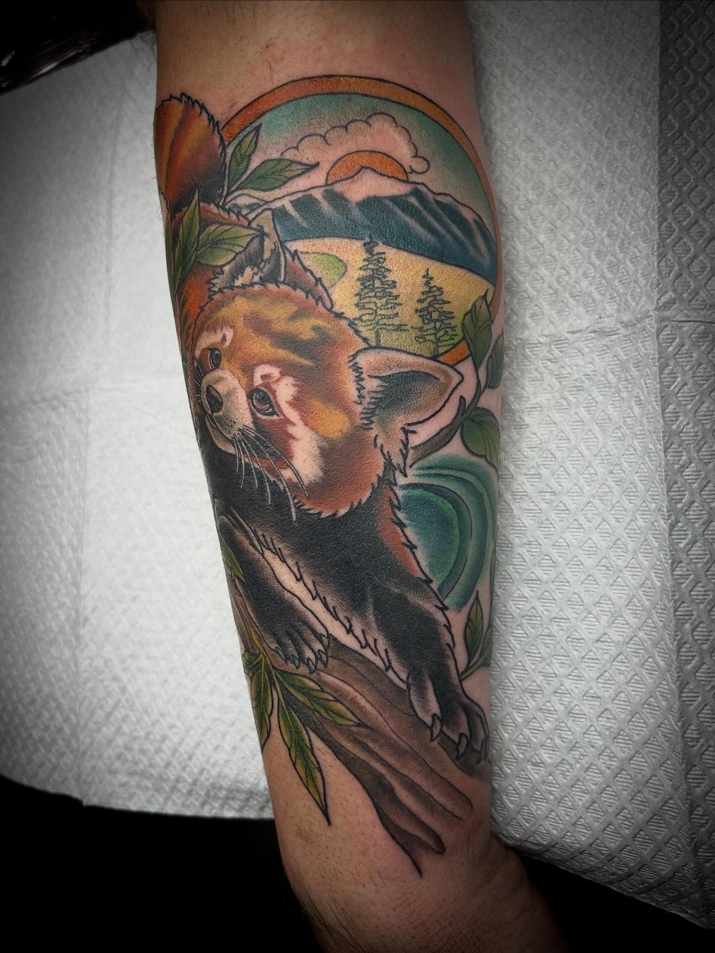 Red panda realism tattoo on the forearm by Pᴇɪɢʜᴛᴏɴ "Fʟᴀsʜ", Phoenix, Arizona