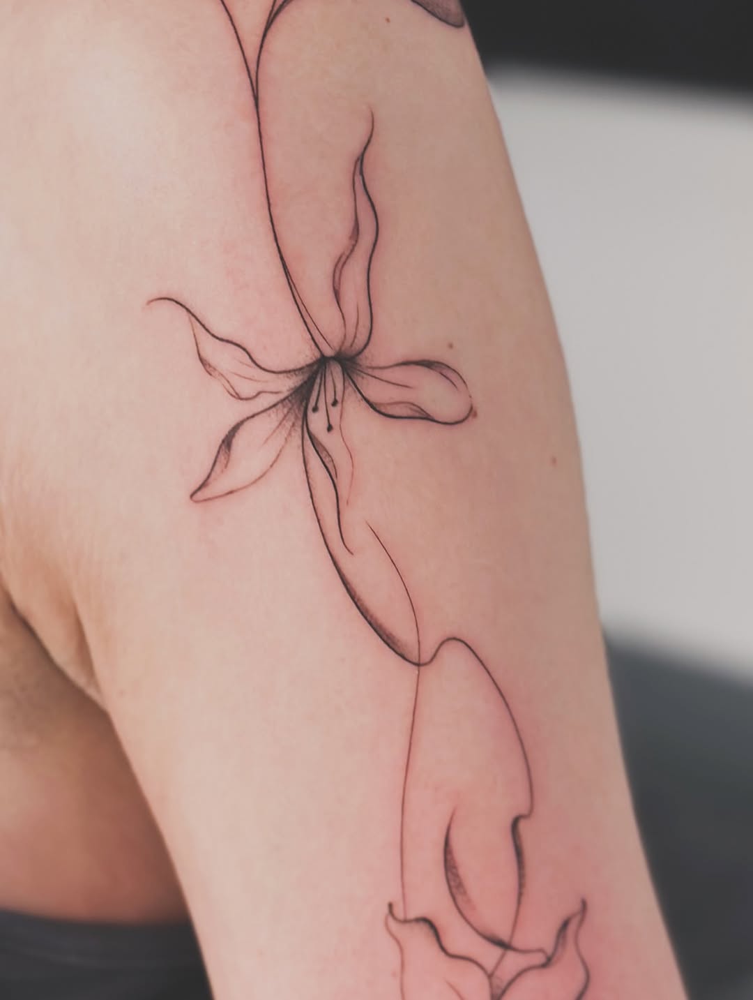 Tattoo by @richardtattooart โ fine_line, black_and_grey