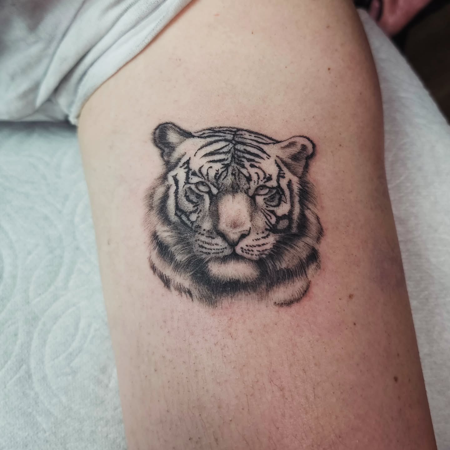 Tiger realism tattoo on the thigh by Adriannah Esparza