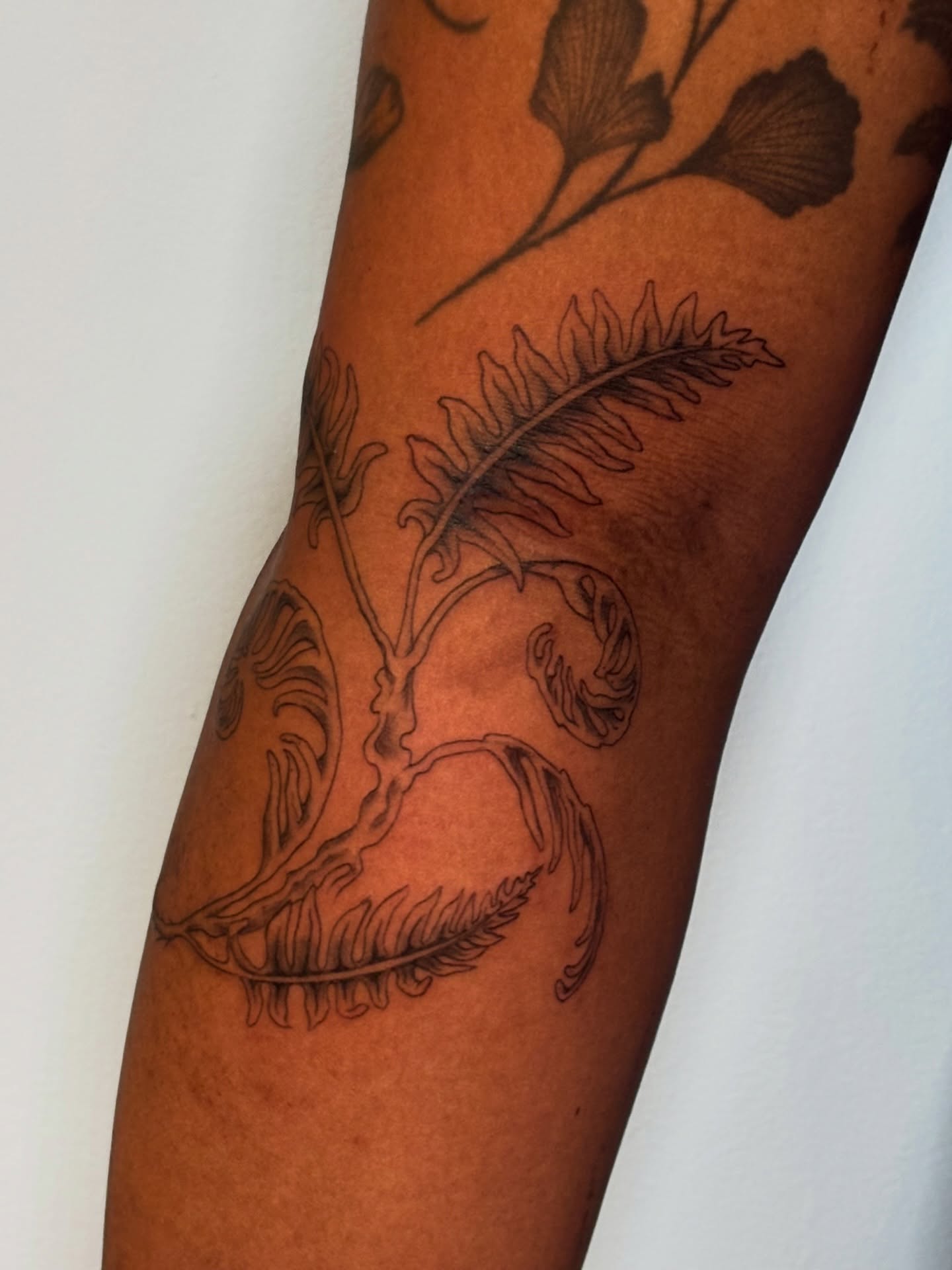 Fern black and grey tattoo on the forearm by Jojo Rose ✨ Denver Tattoo Artist