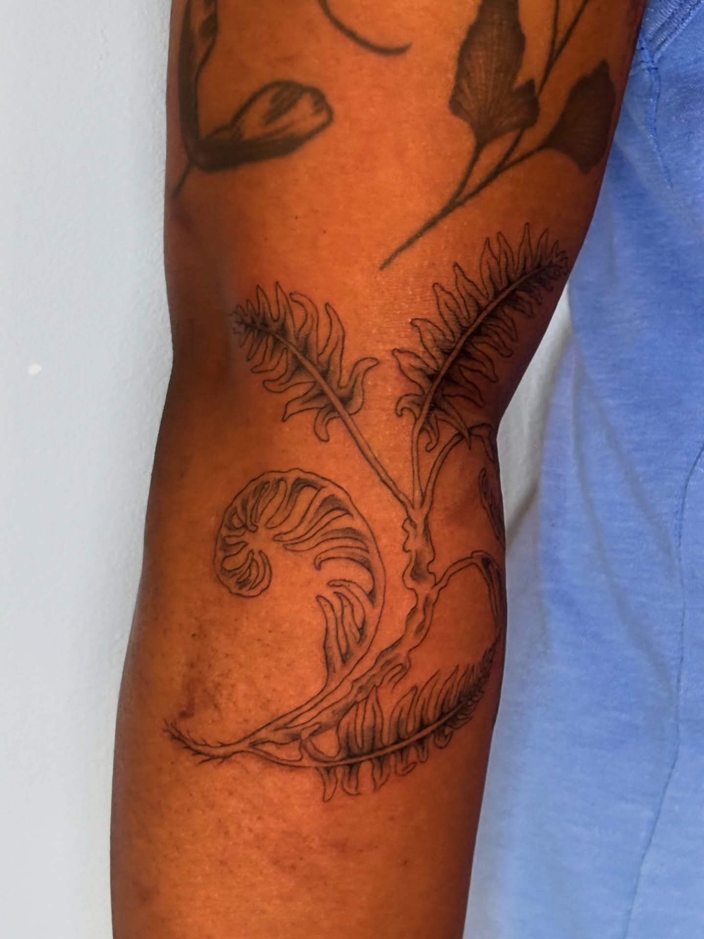 Fern and seed pod black and grey tattoo on the forearm by Jojo Rose ✨ Denver Tattoo Artist