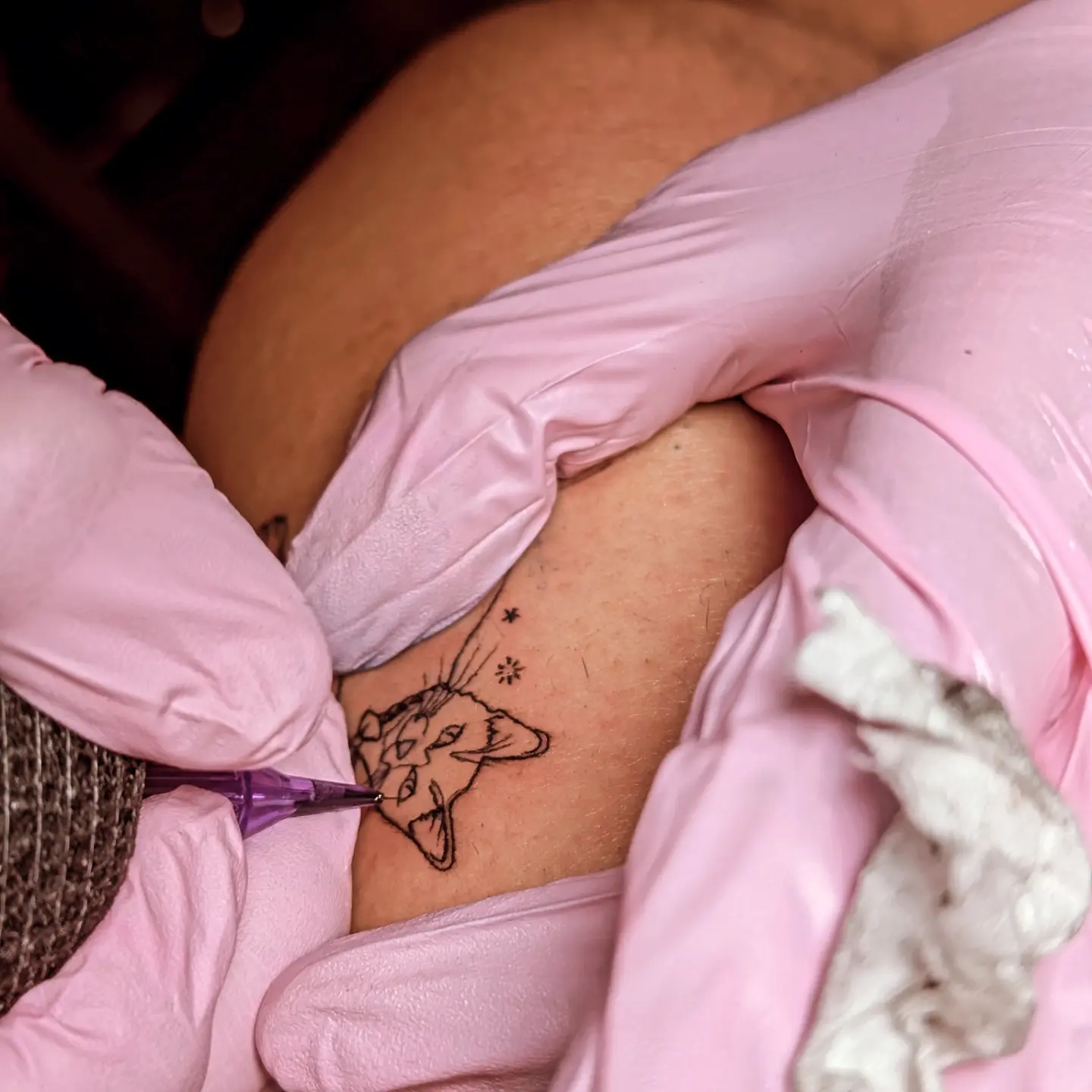 Cat fine line tattoo on the forearm by Tony