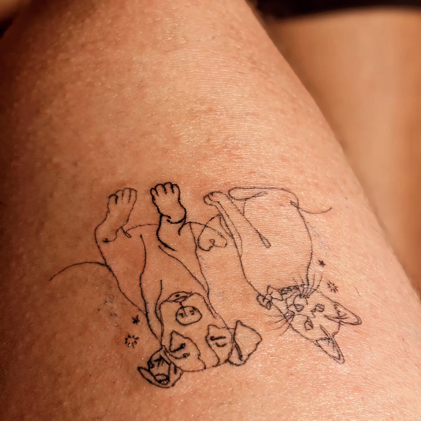 Cat and baby black and grey tattoo on the thigh by Tony