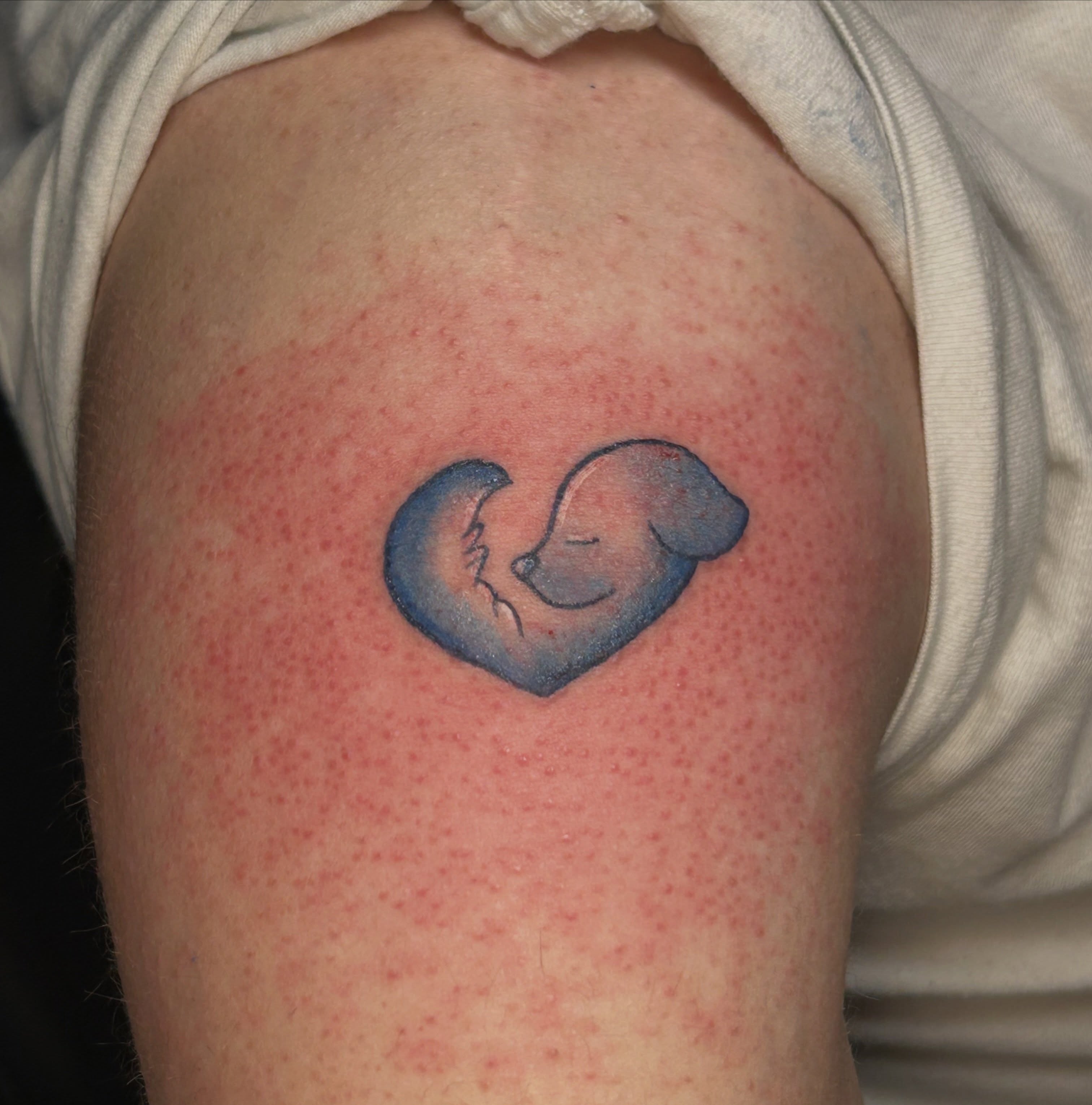 Tattoo by @alifaetattoos β dotwork