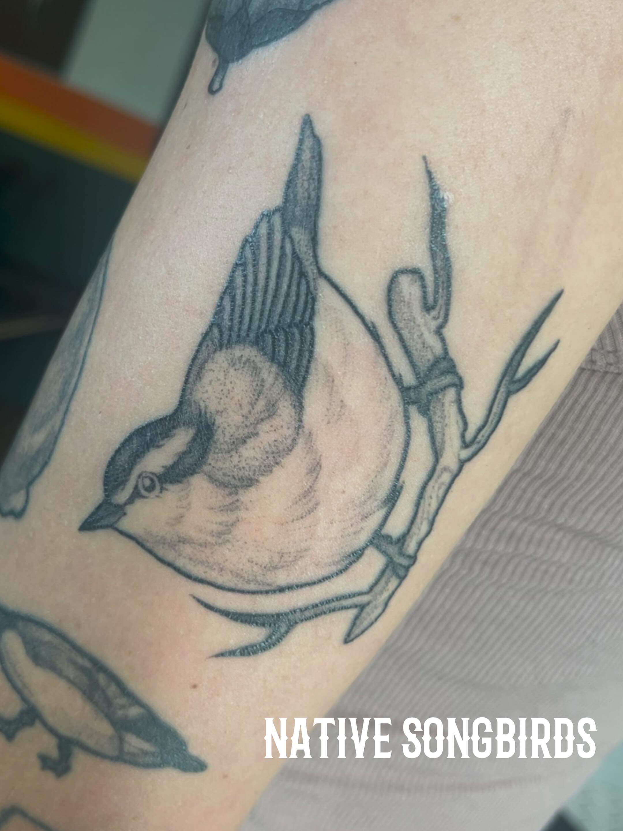 Tattoo by Emily • Tattoo Artist • Missoula, Montana, Missoula, Montana