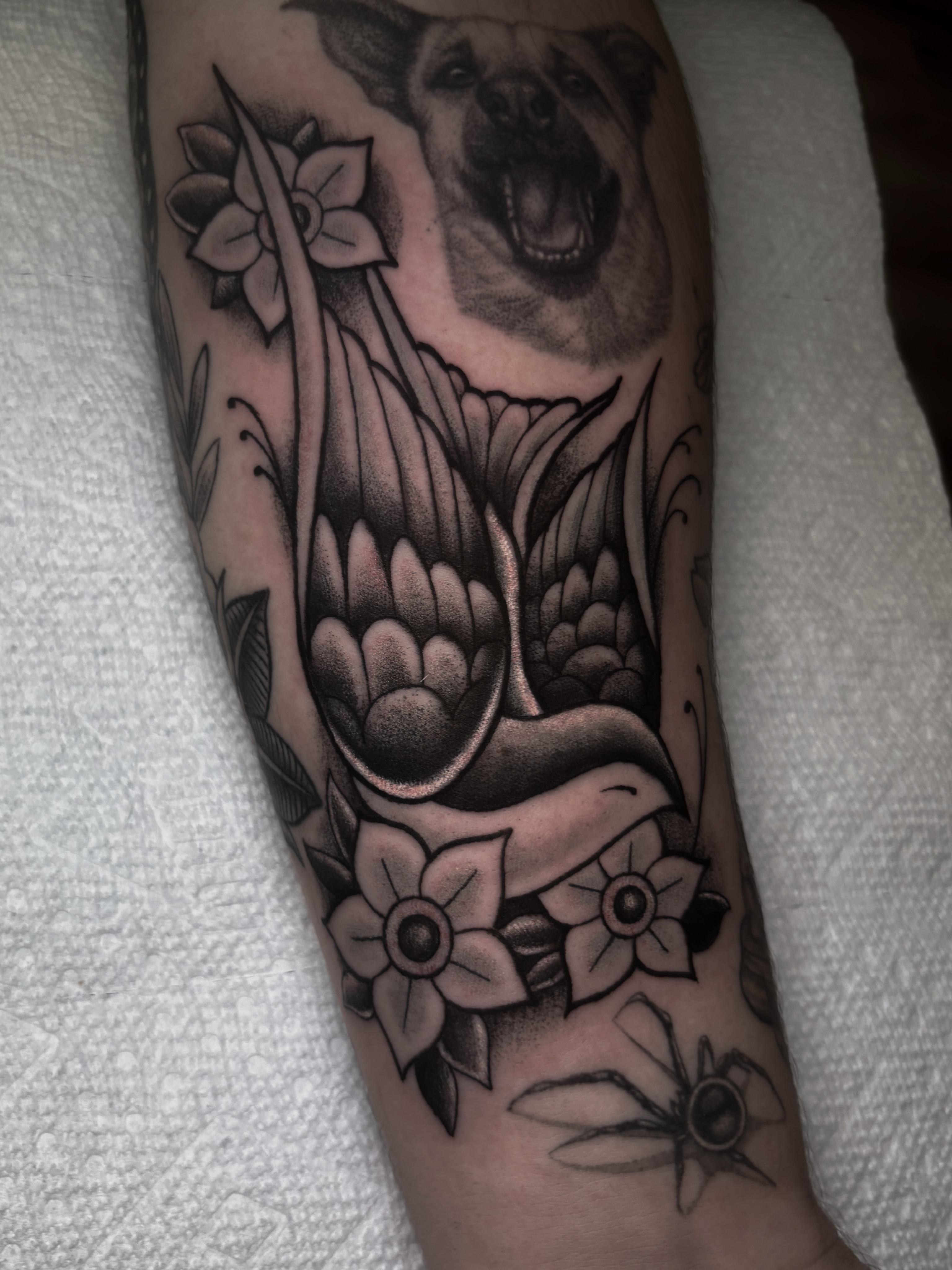 Tattoo by @sal.the.stabber — black_and_grey