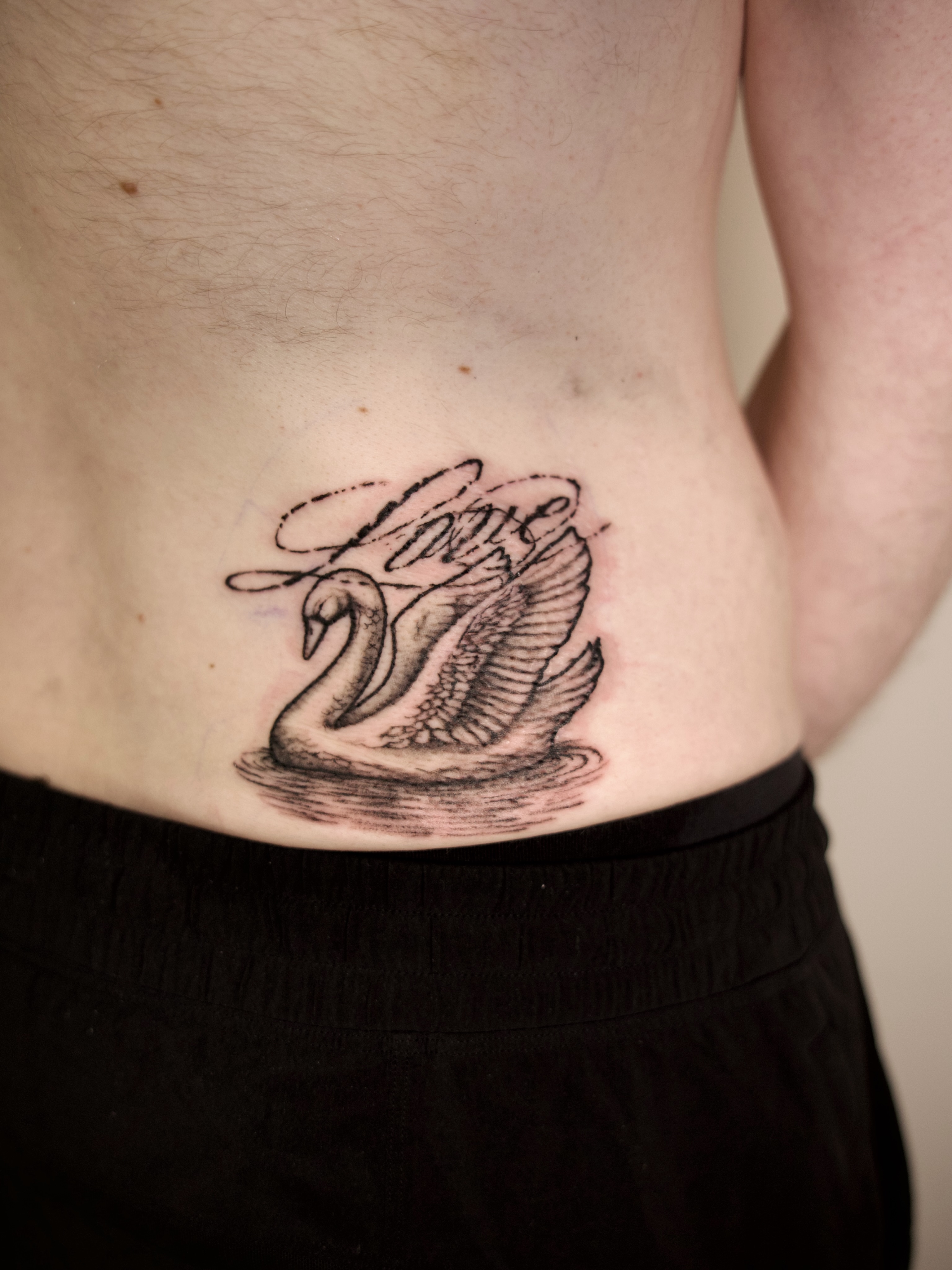 Swan black and grey tattoo on the ribs by @lovechasetattoo