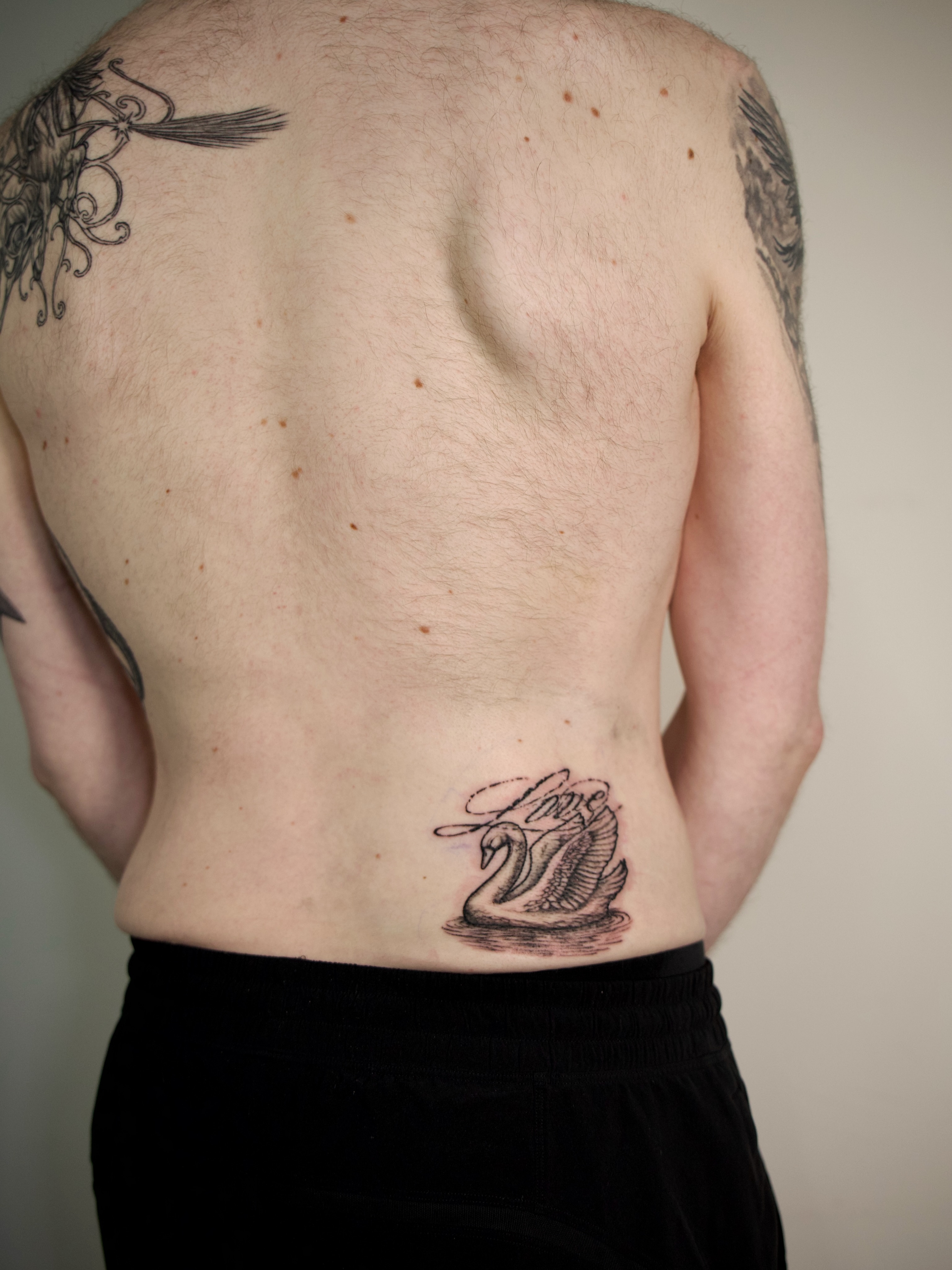 Swan black and grey tattoo on the back by @lovechasetattoo