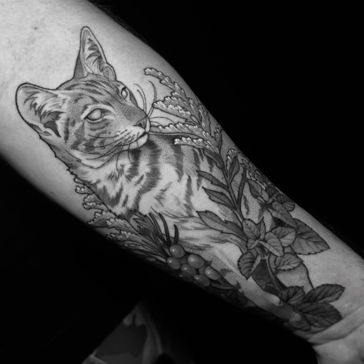 Cat and botanicals realism tattoo on the forearm by Breah Beshore Kirk