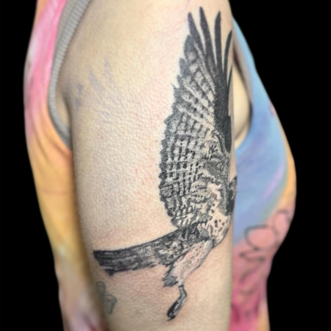 Bird dotwork tattoo on the upper arm by Ashtyn ☾