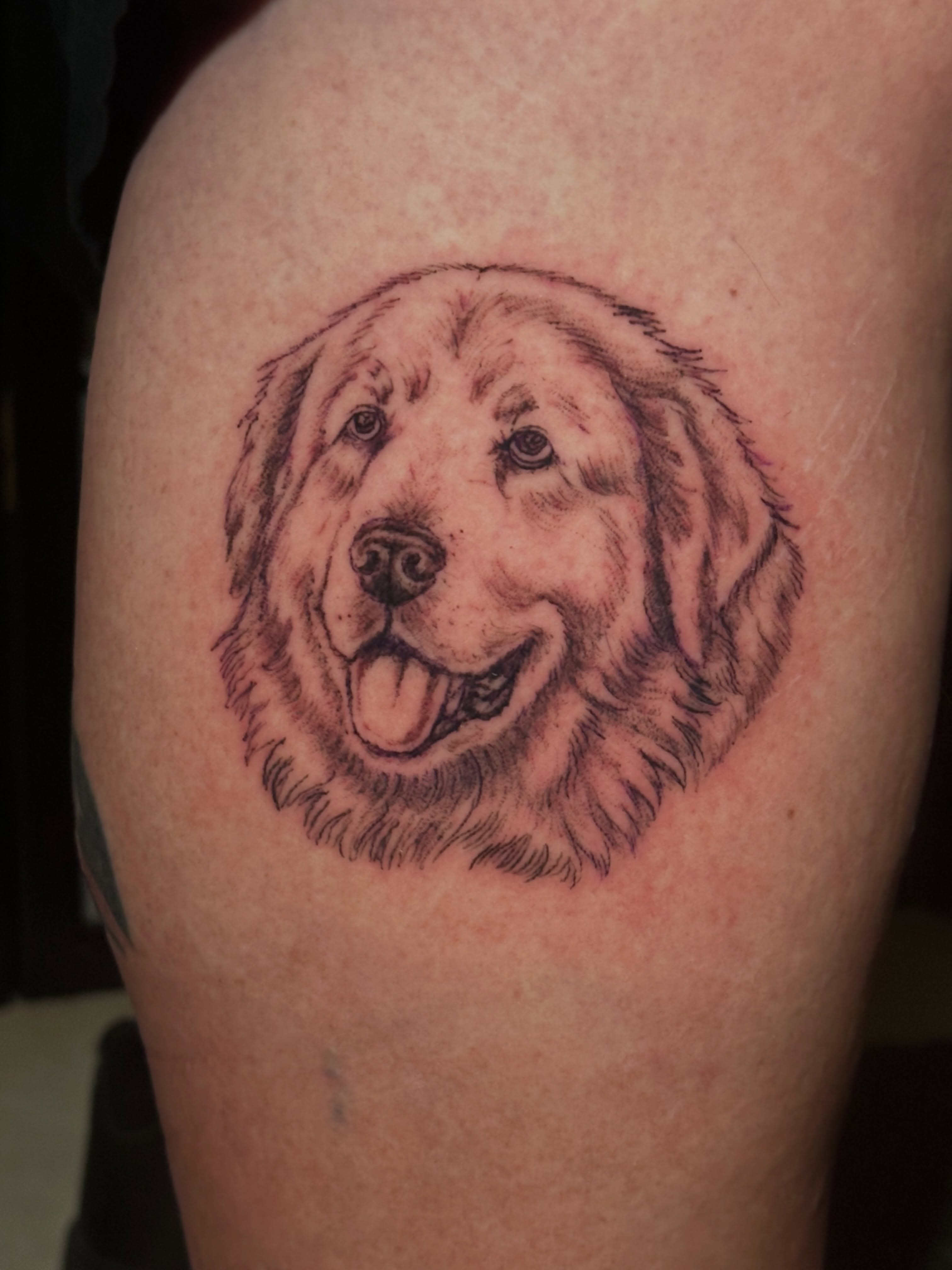 Dog realism tattoo on the thigh by Chris Whittaker Tattoo Artist