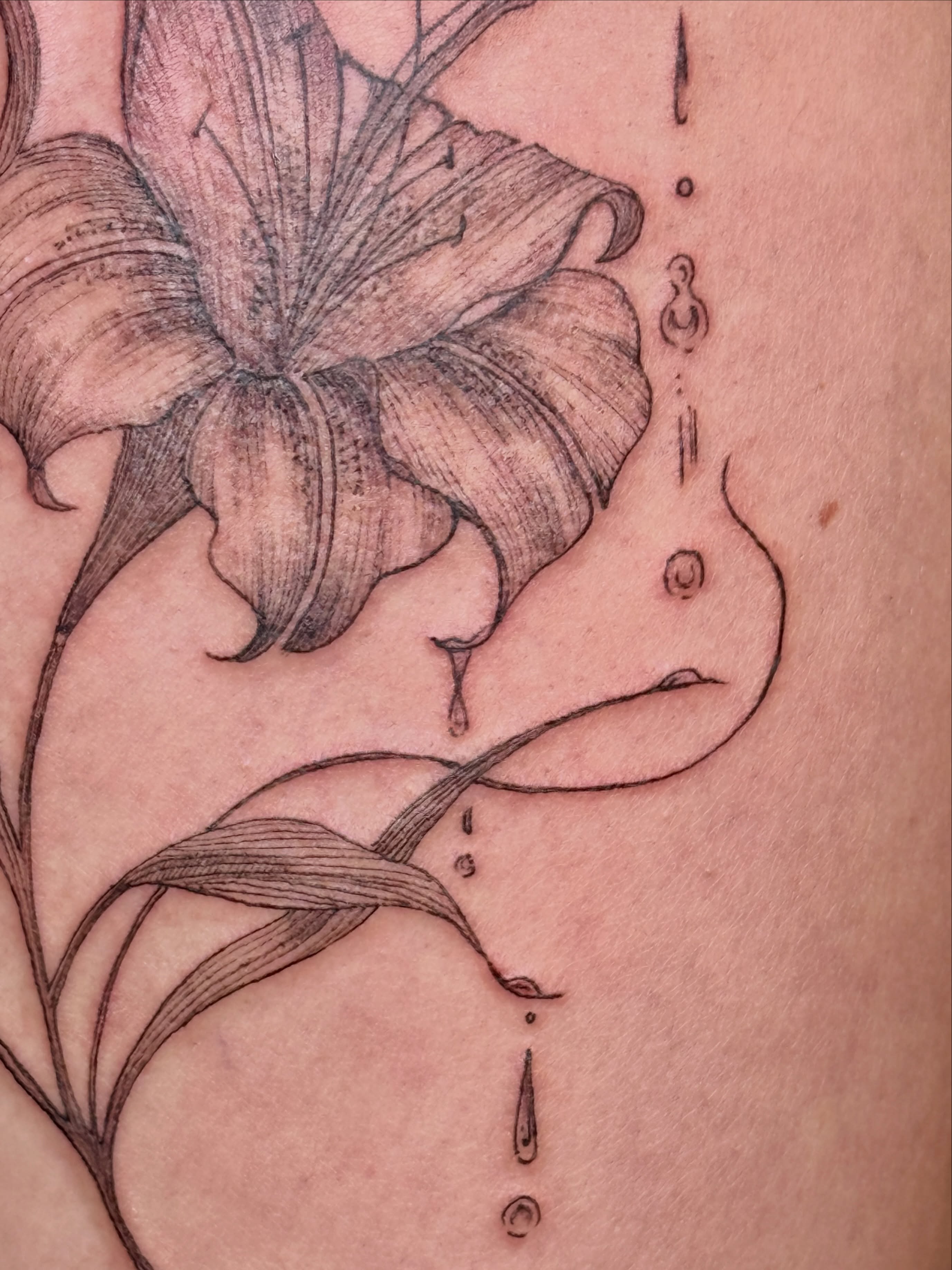 Tattoo by @tatertottats — black_and_grey