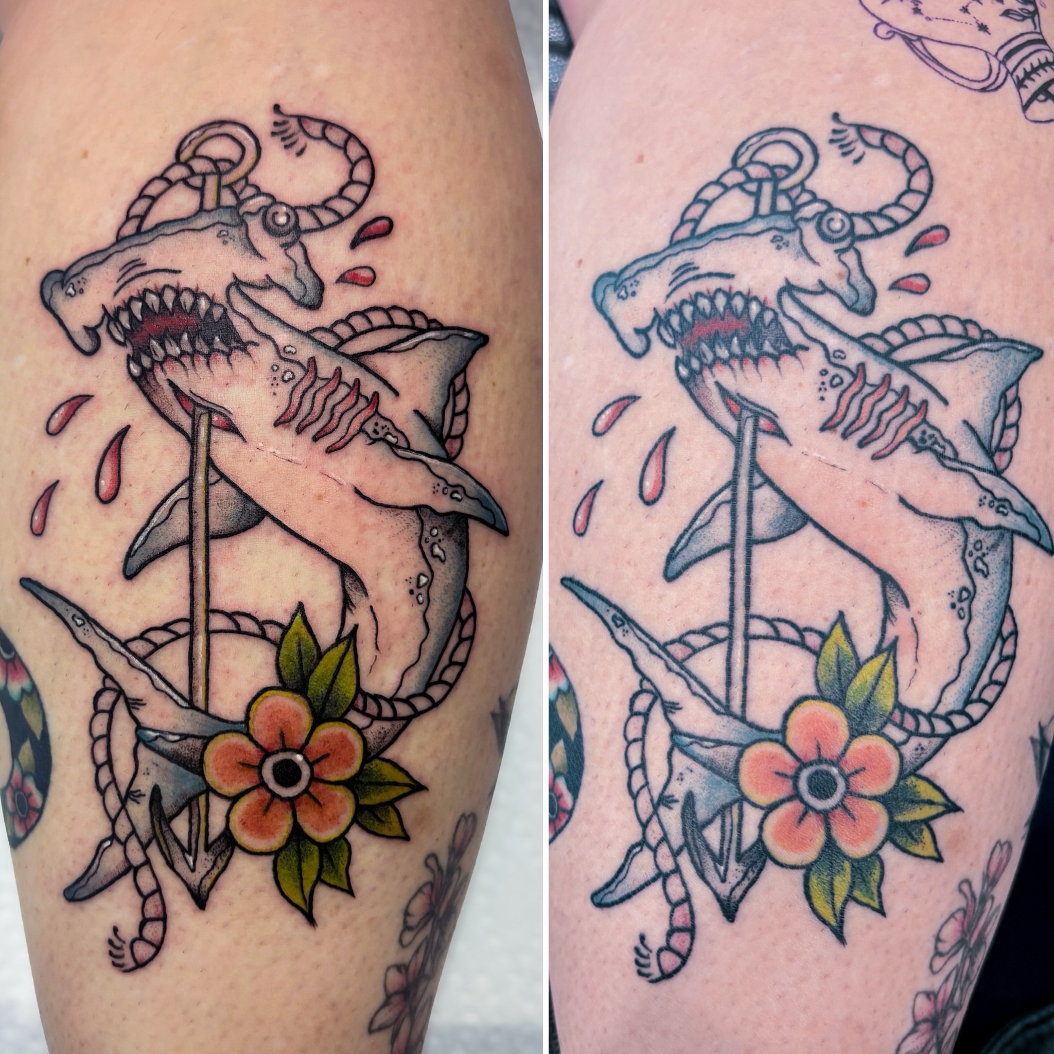 Shark and anchor American traditional tattoo on the forearm by Liz Cook
