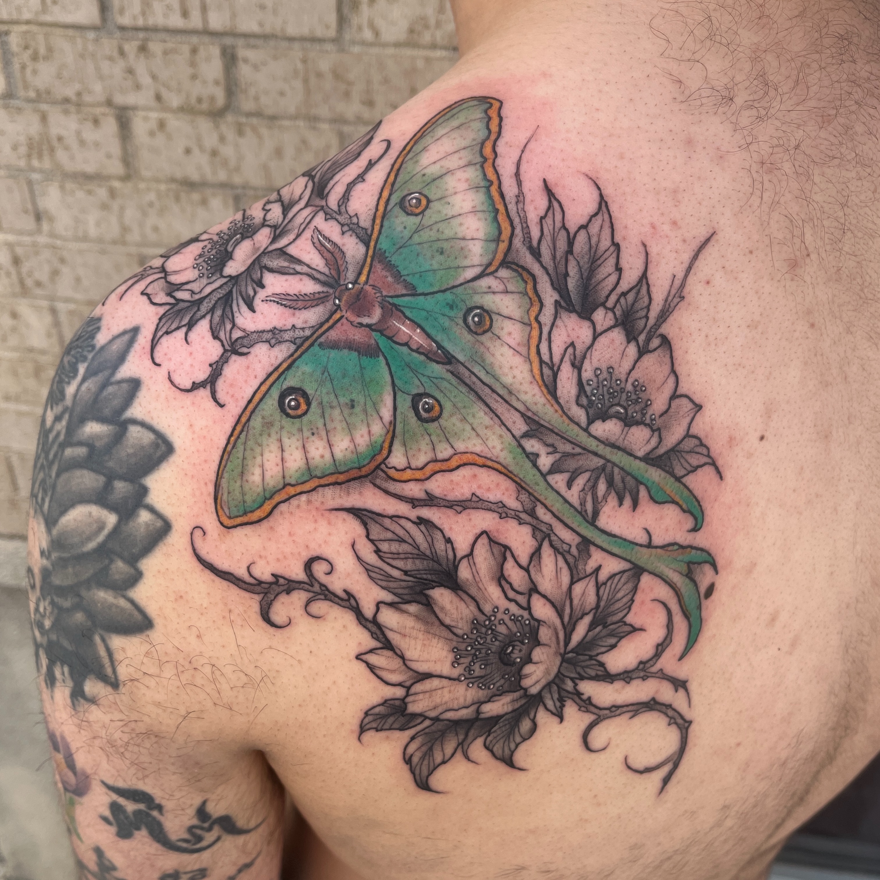 Moon moth and flowers dotwork tattoo on the shoulder by Timmy
